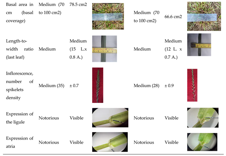 Preprints 112614 i003