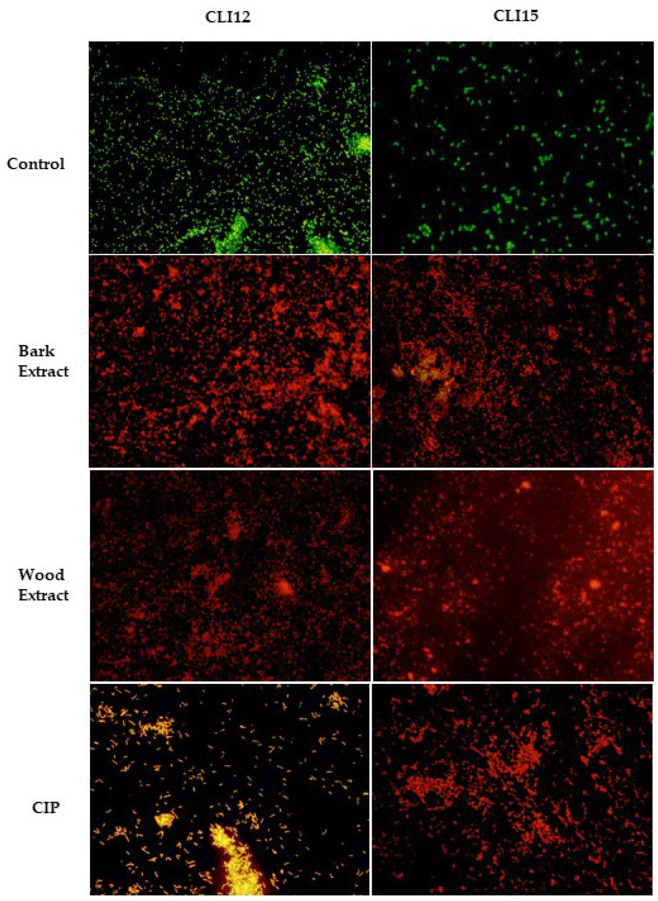 Preprints 102283 g007