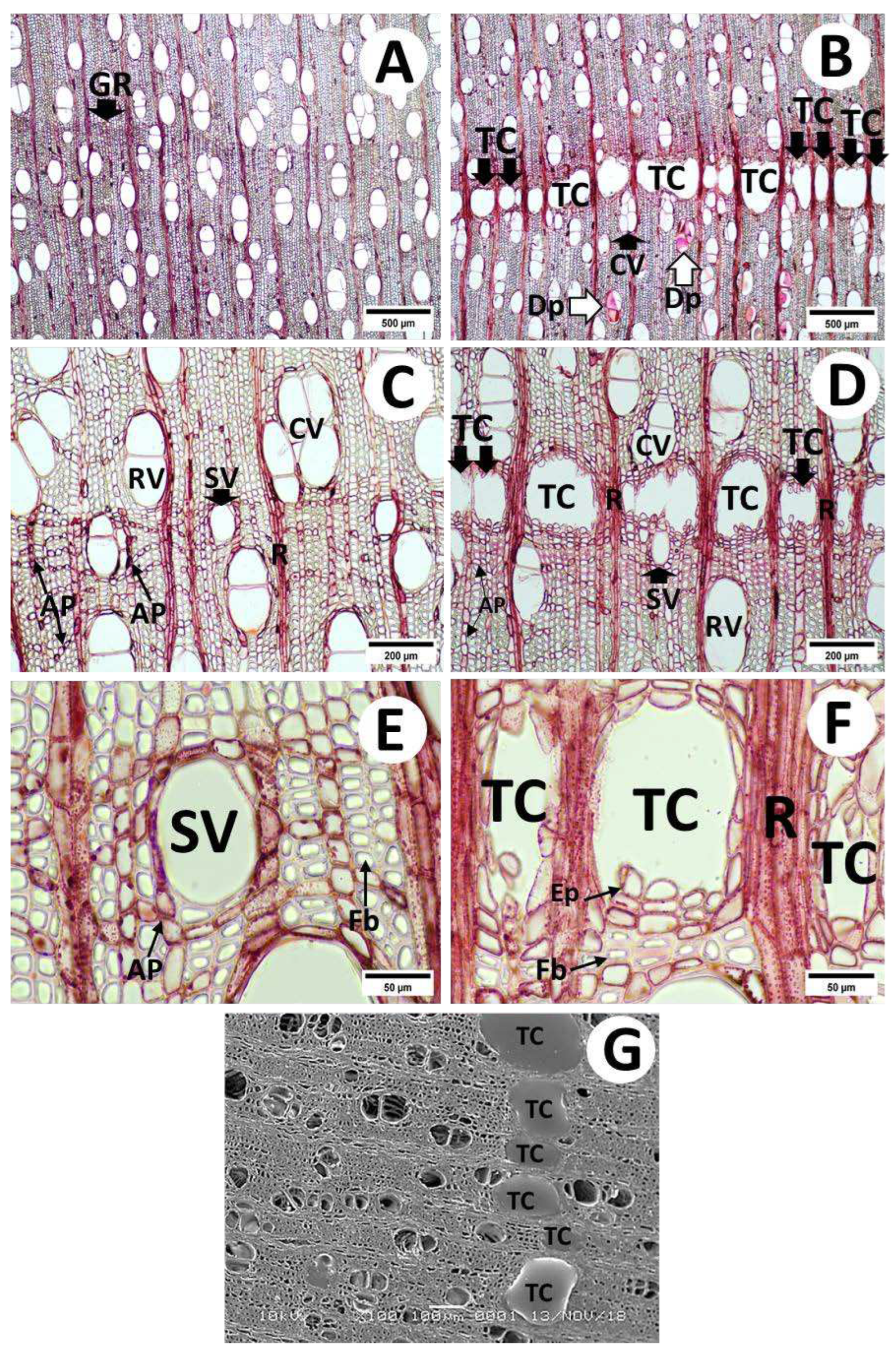 Preprints 98494 g002