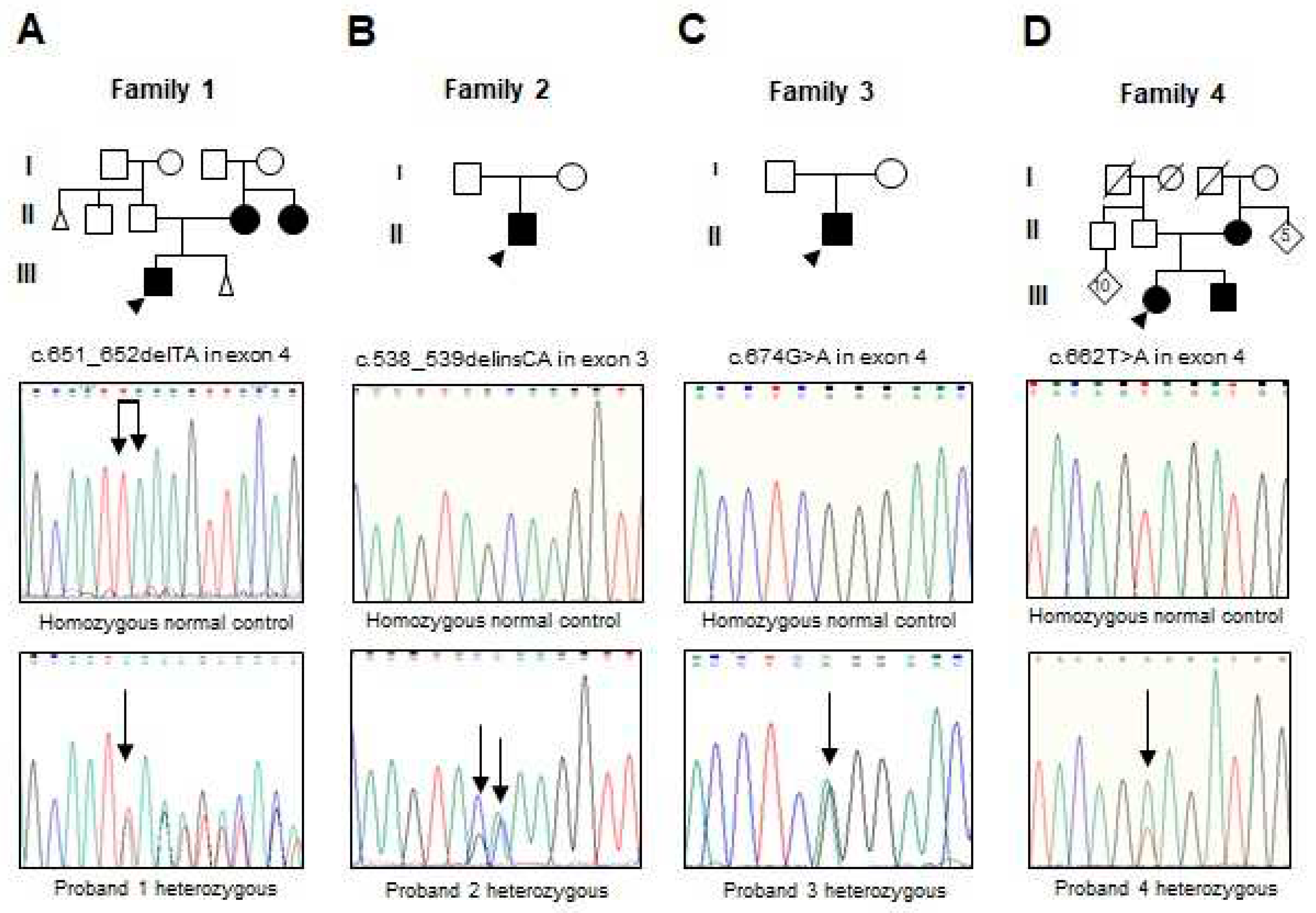 Preprints 97749 g001