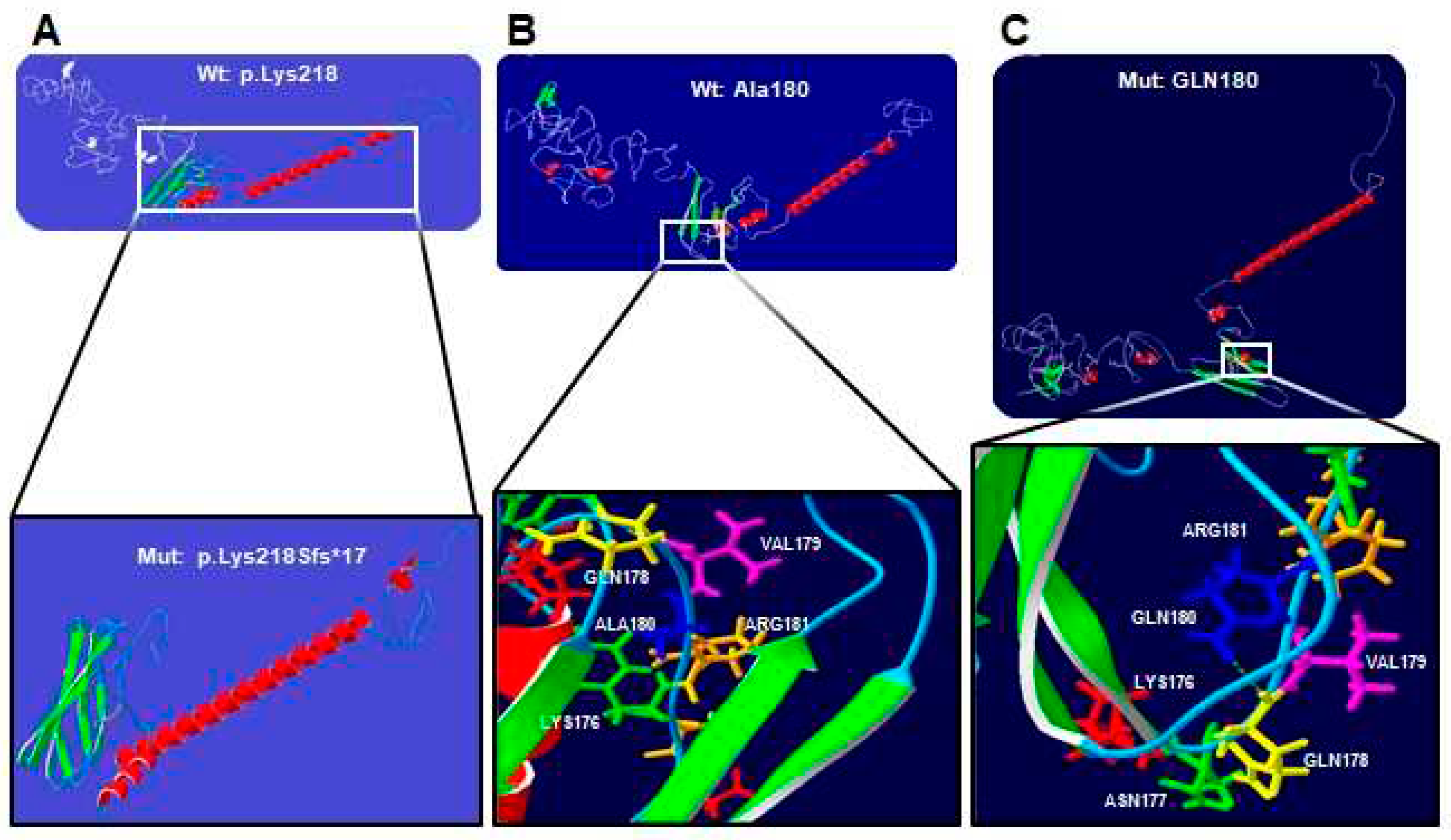 Preprints 97749 g002