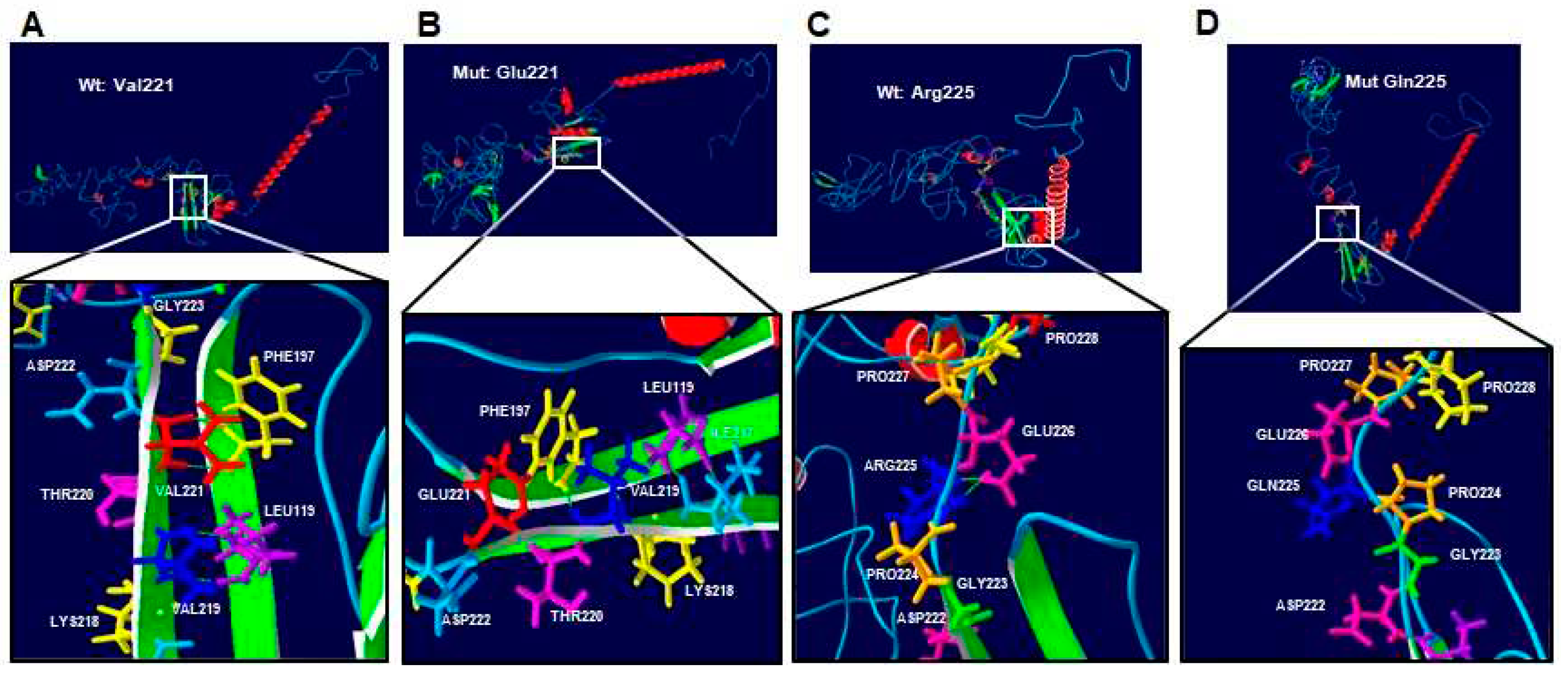 Preprints 97749 g003