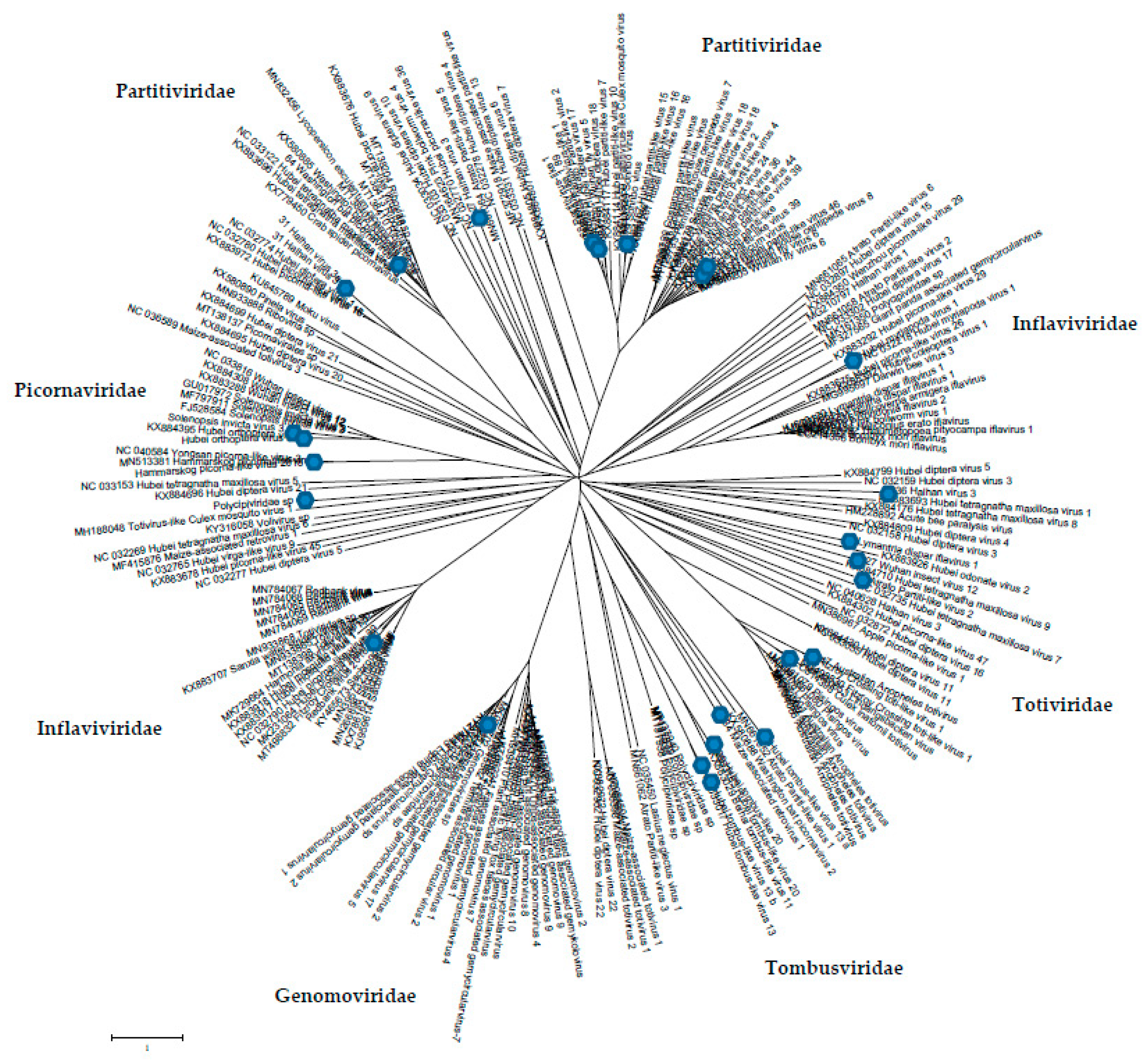 Preprints 79422 g004