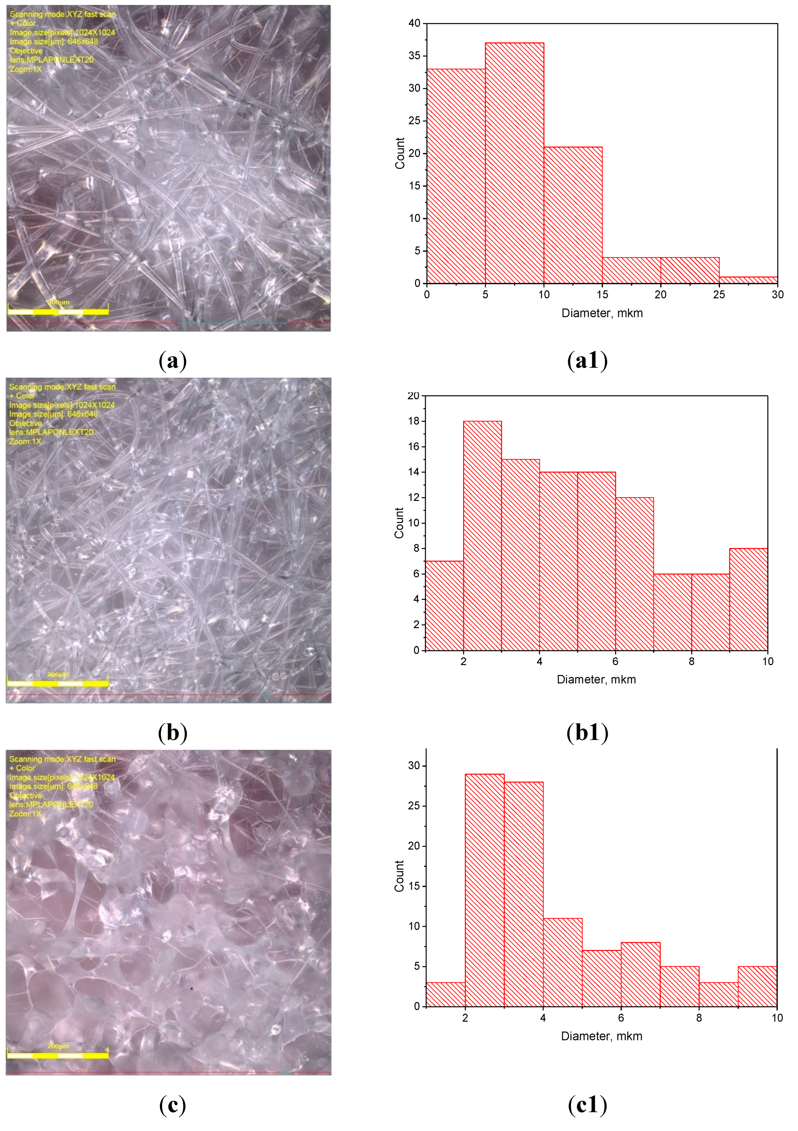 Preprints 102642 g001a