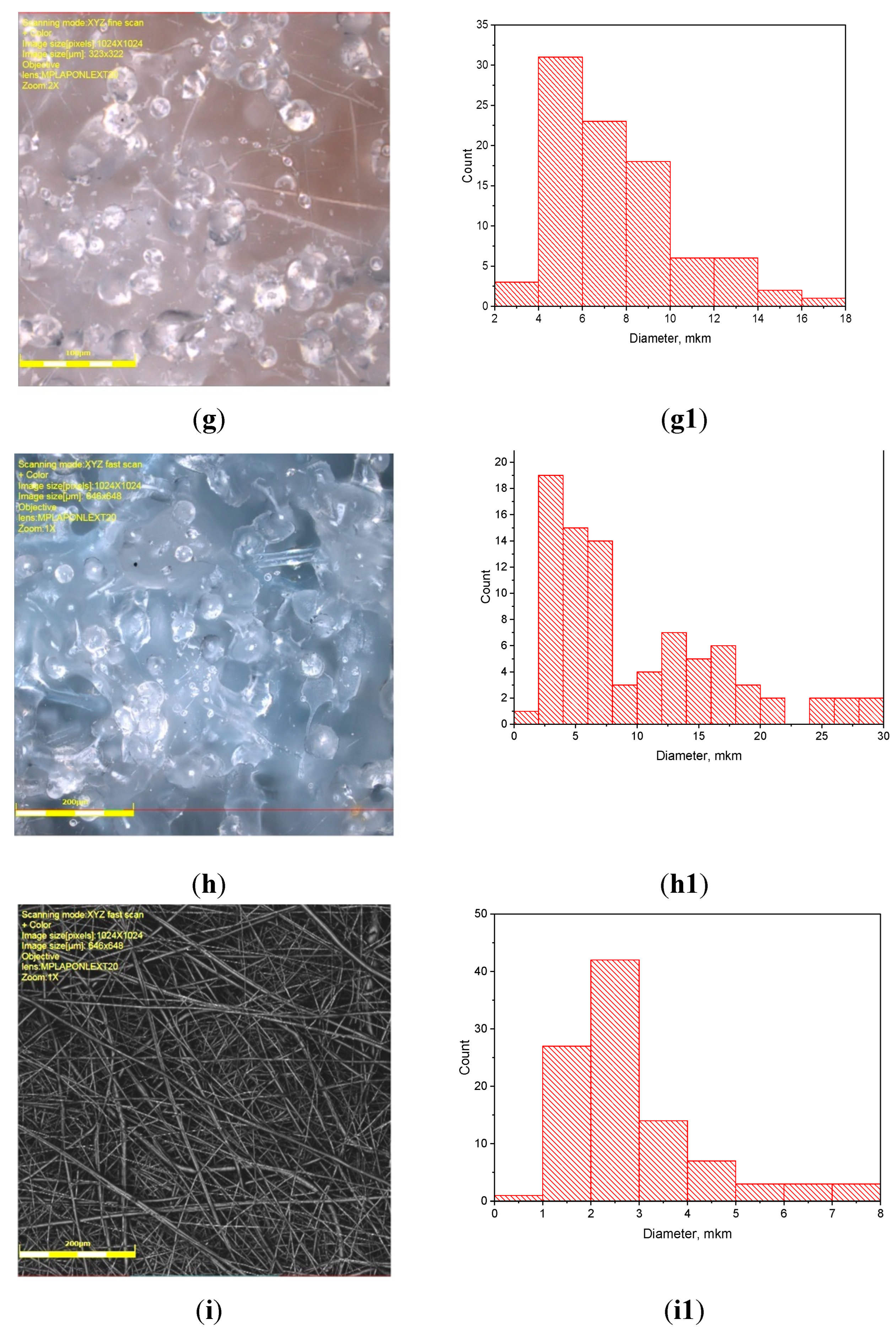 Preprints 102642 g001c