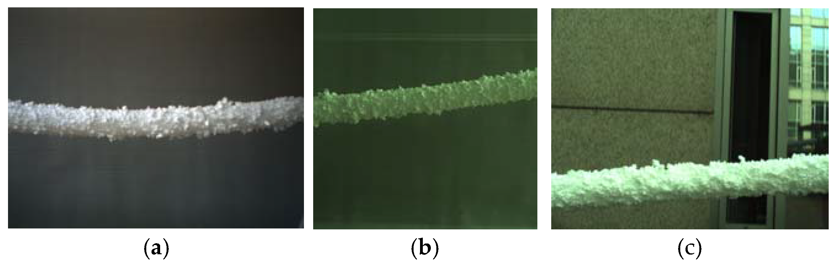 Preprints 115672 g020