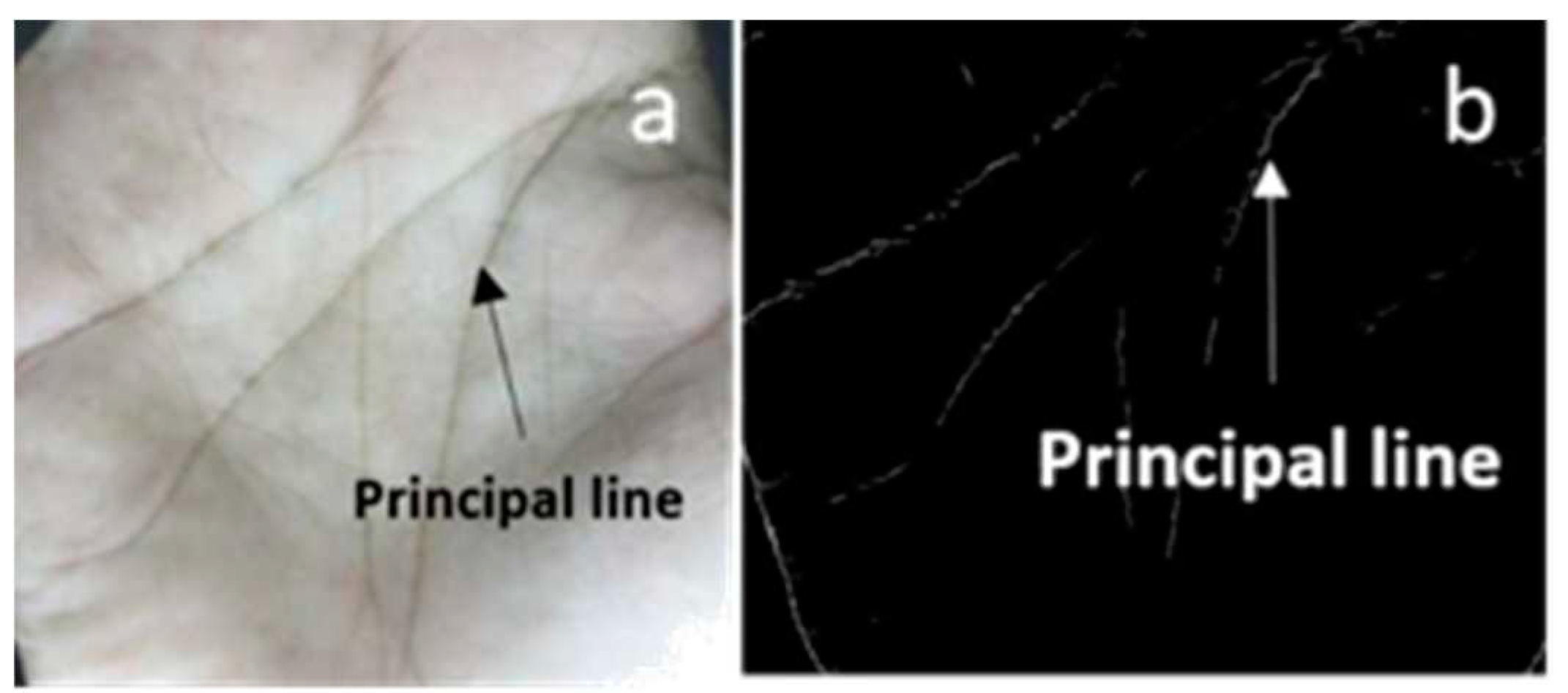 Preprints 94017 g012