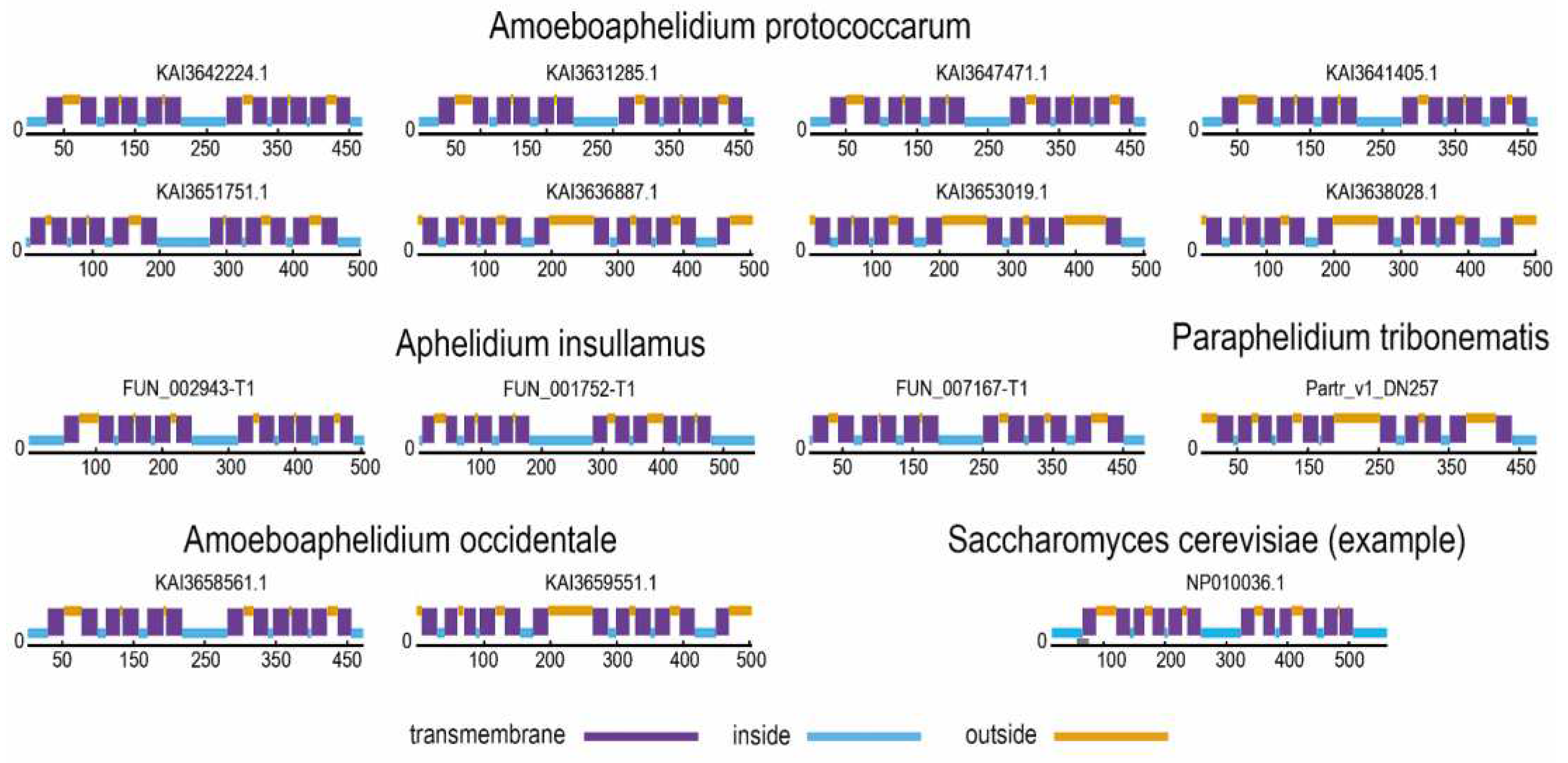 Preprints 80720 g002