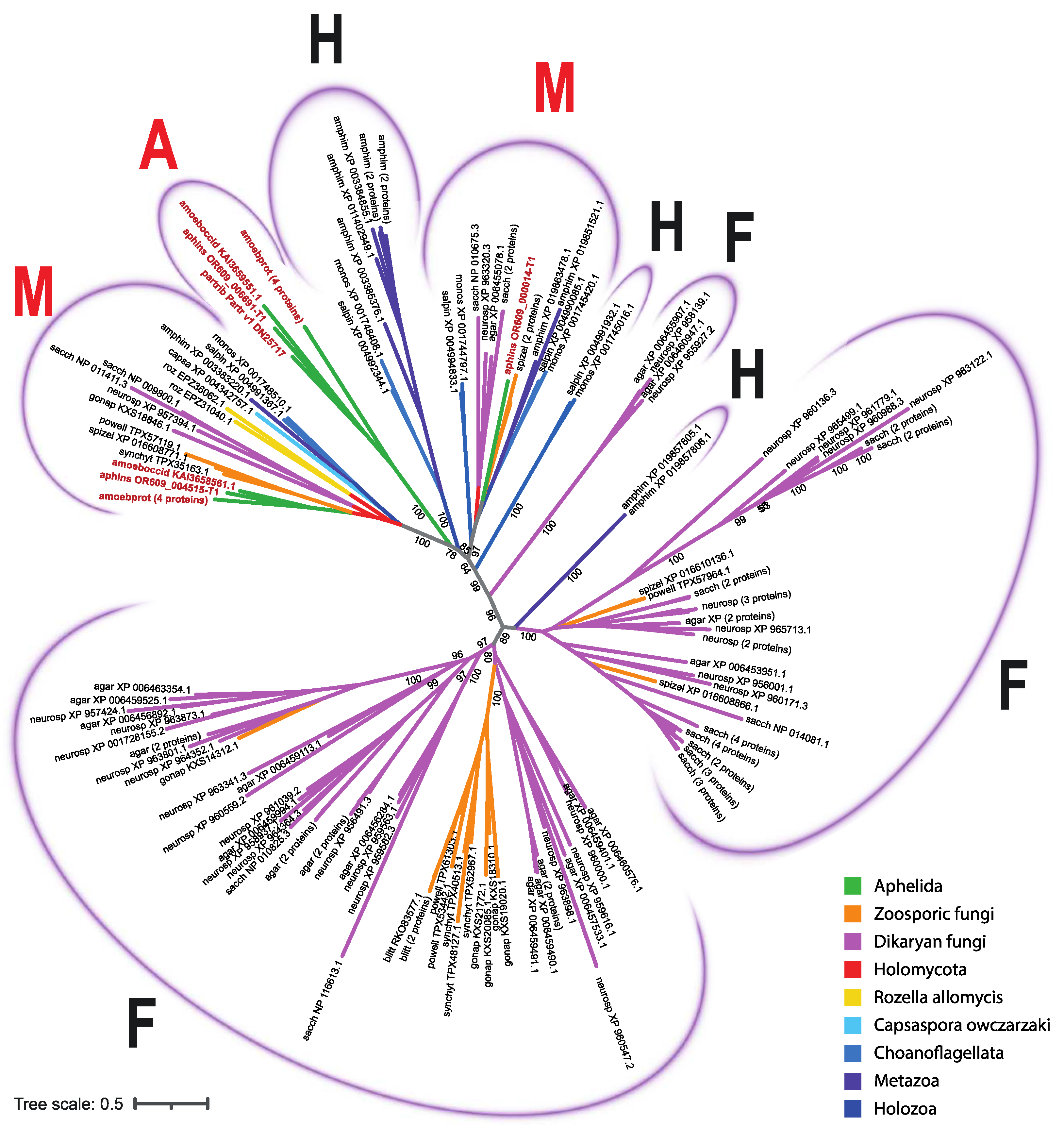 Preprints 80720 g003