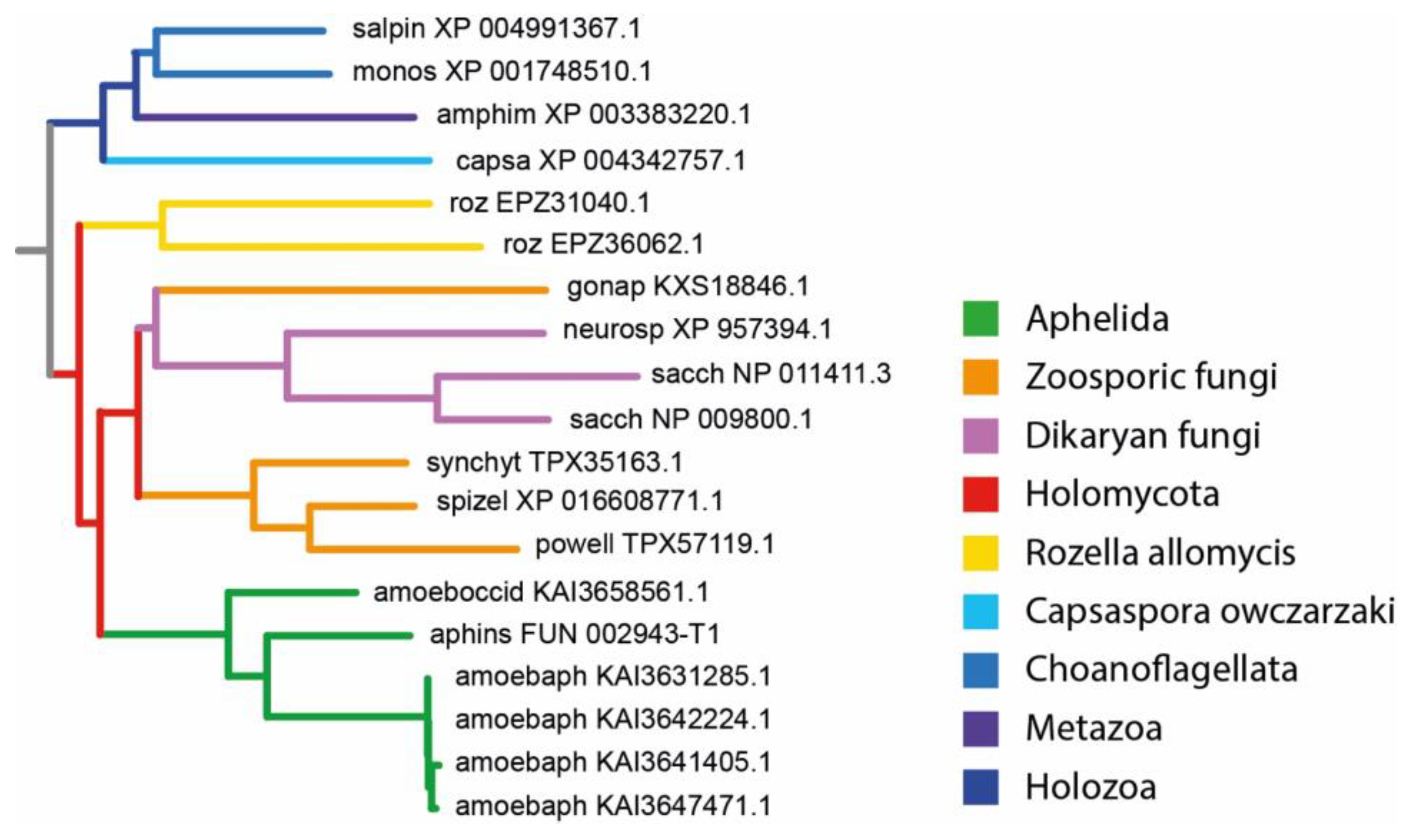 Preprints 80720 g004