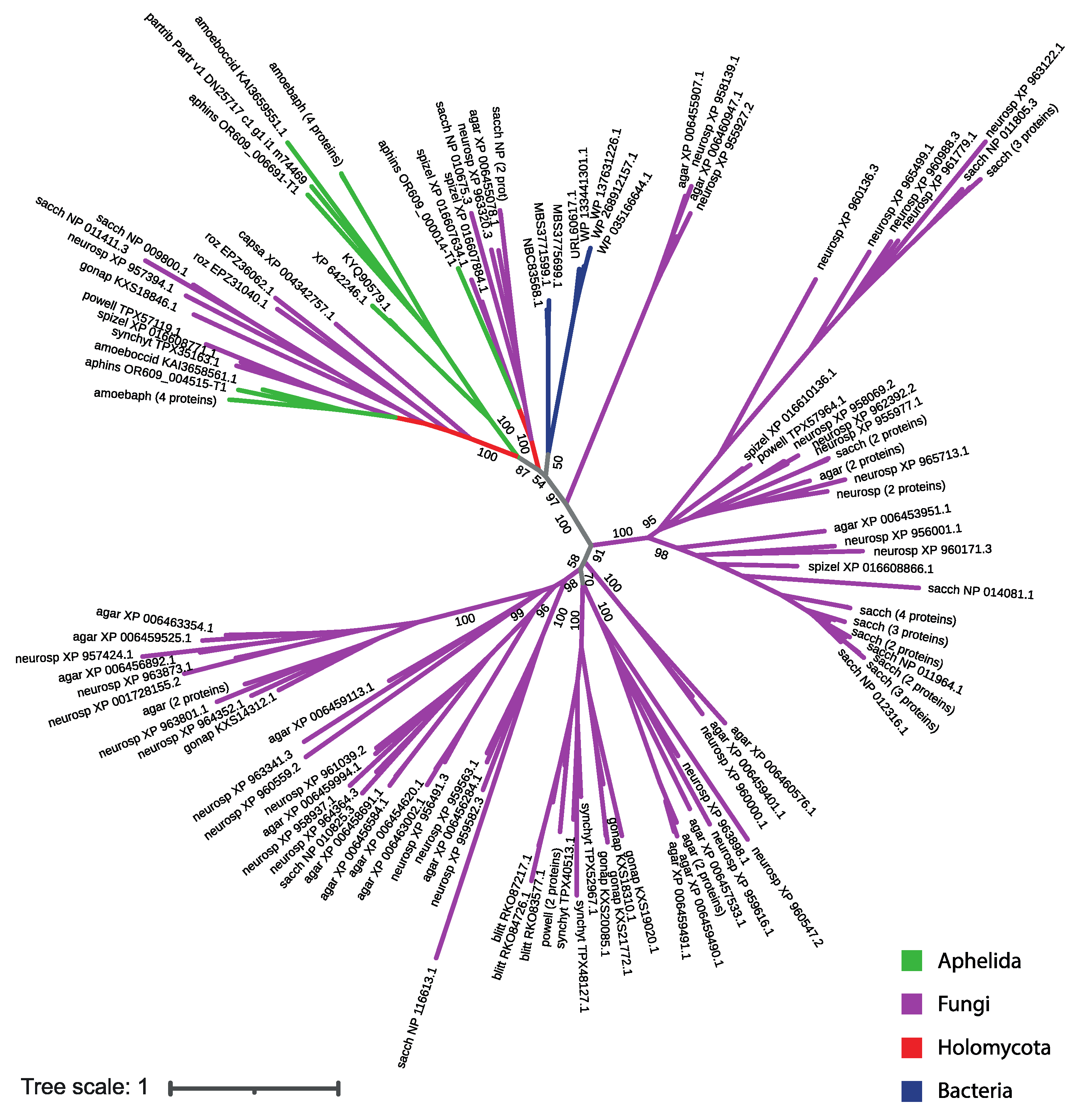 Preprints 80720 g005