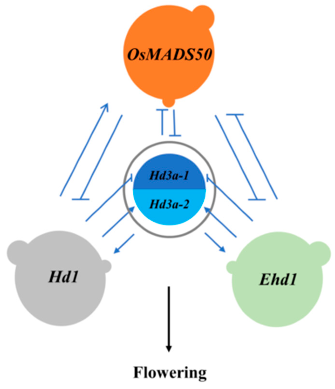 Preprints 77360 g001