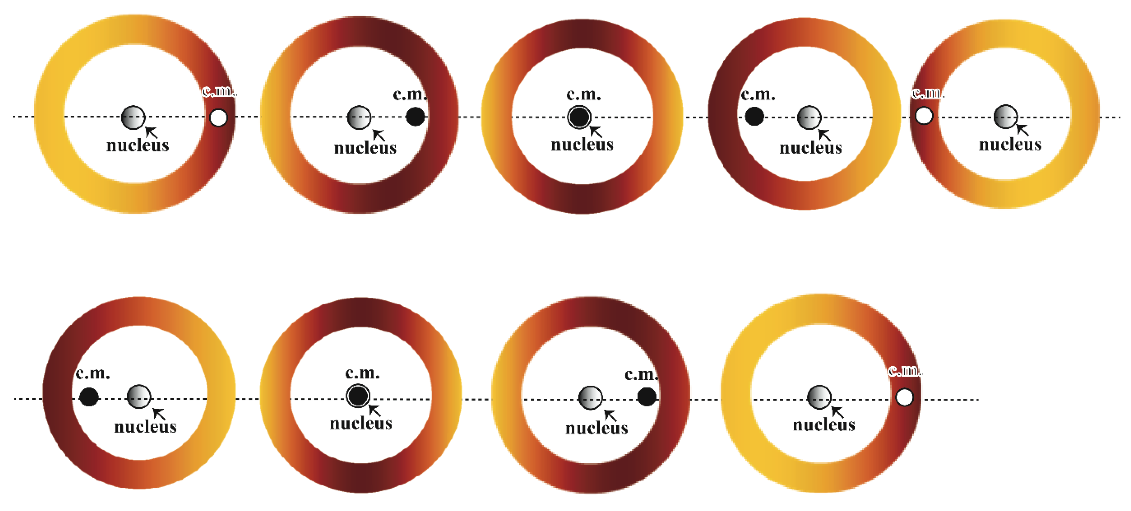 Preprints 106586 g003