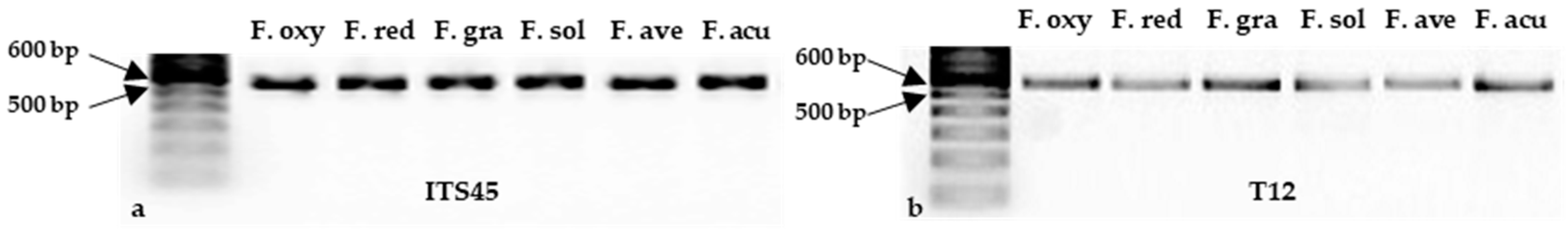 Preprints 91213 g005