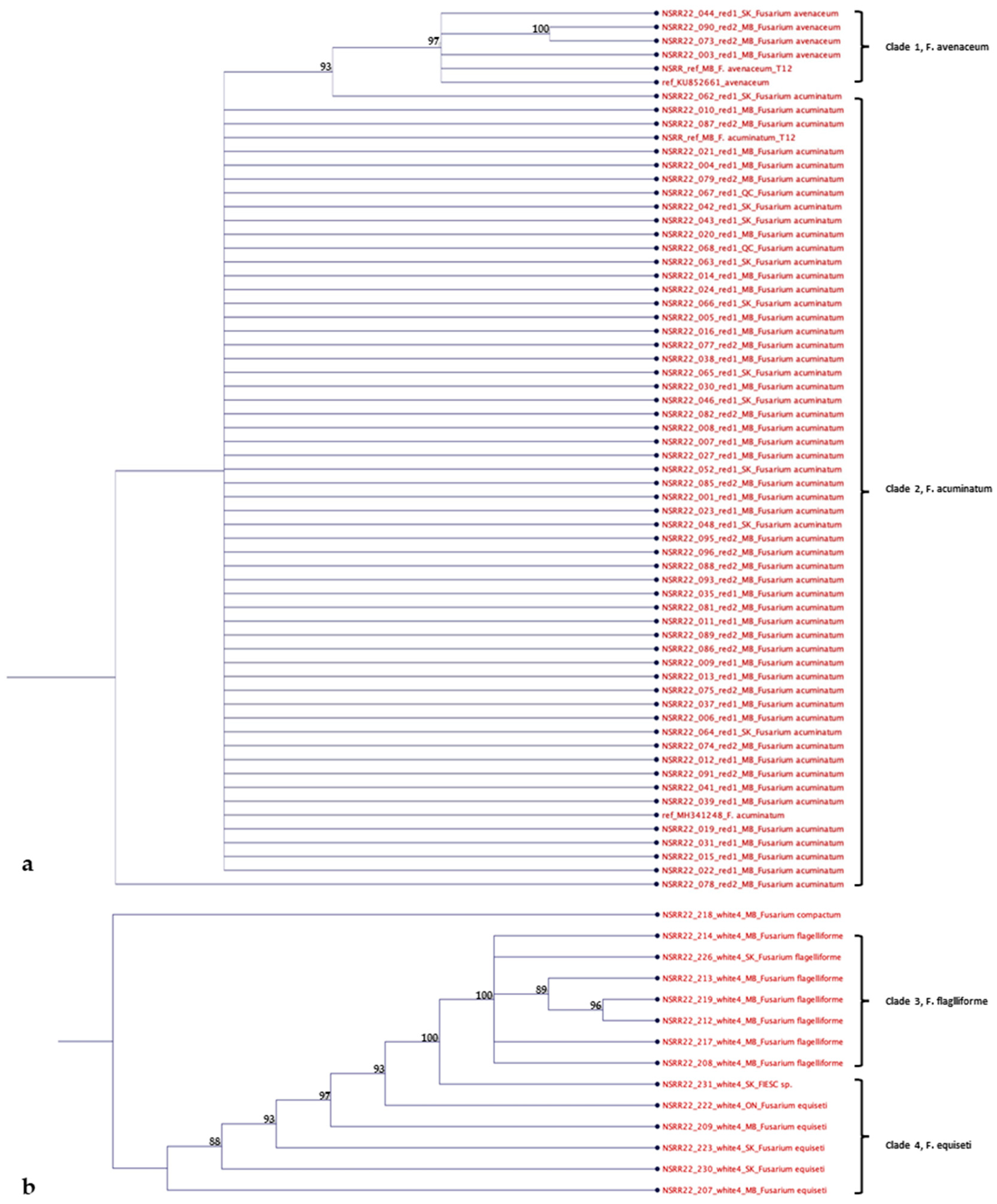 Preprints 91213 g006