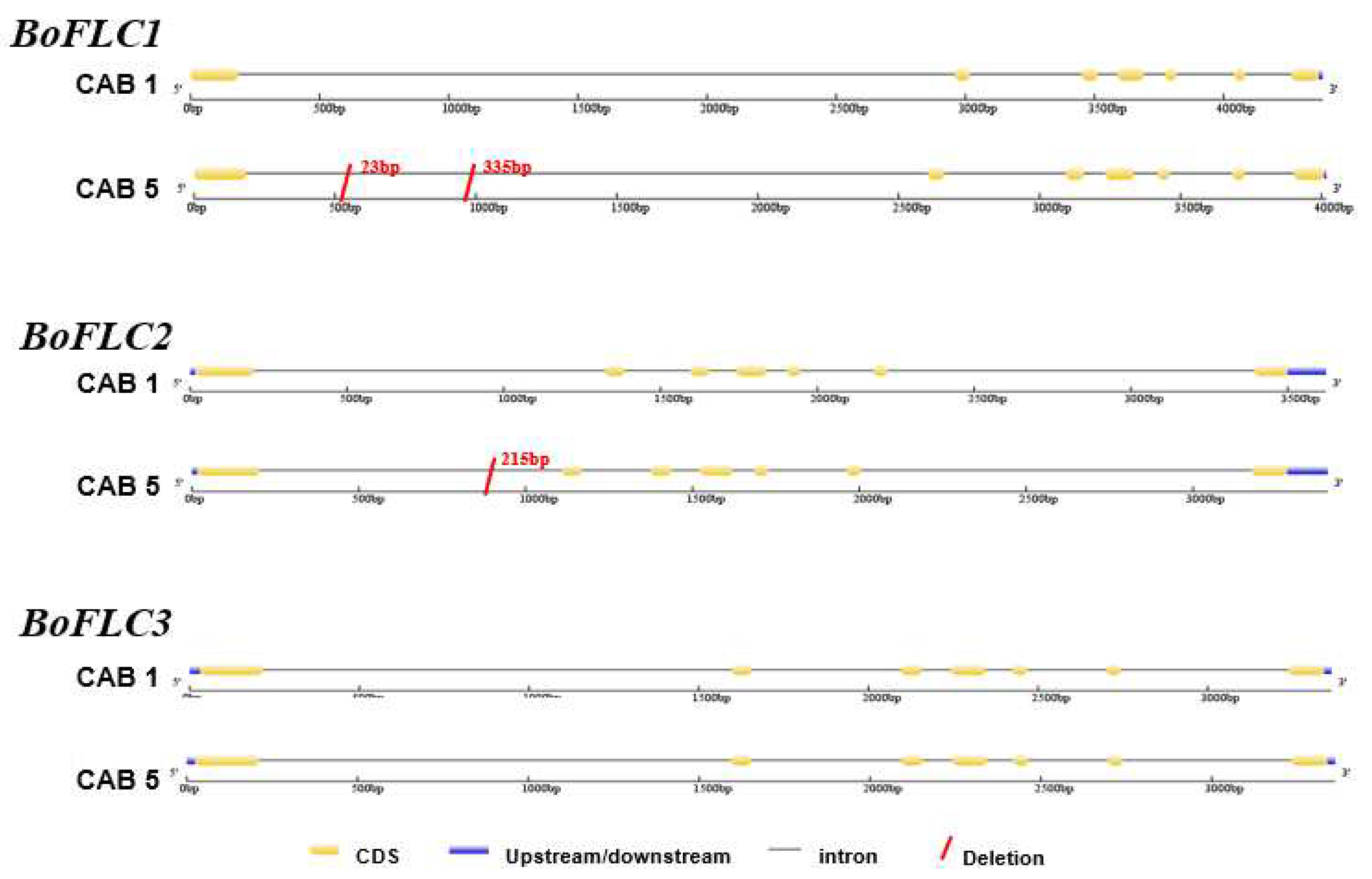 Preprints 87615 g001