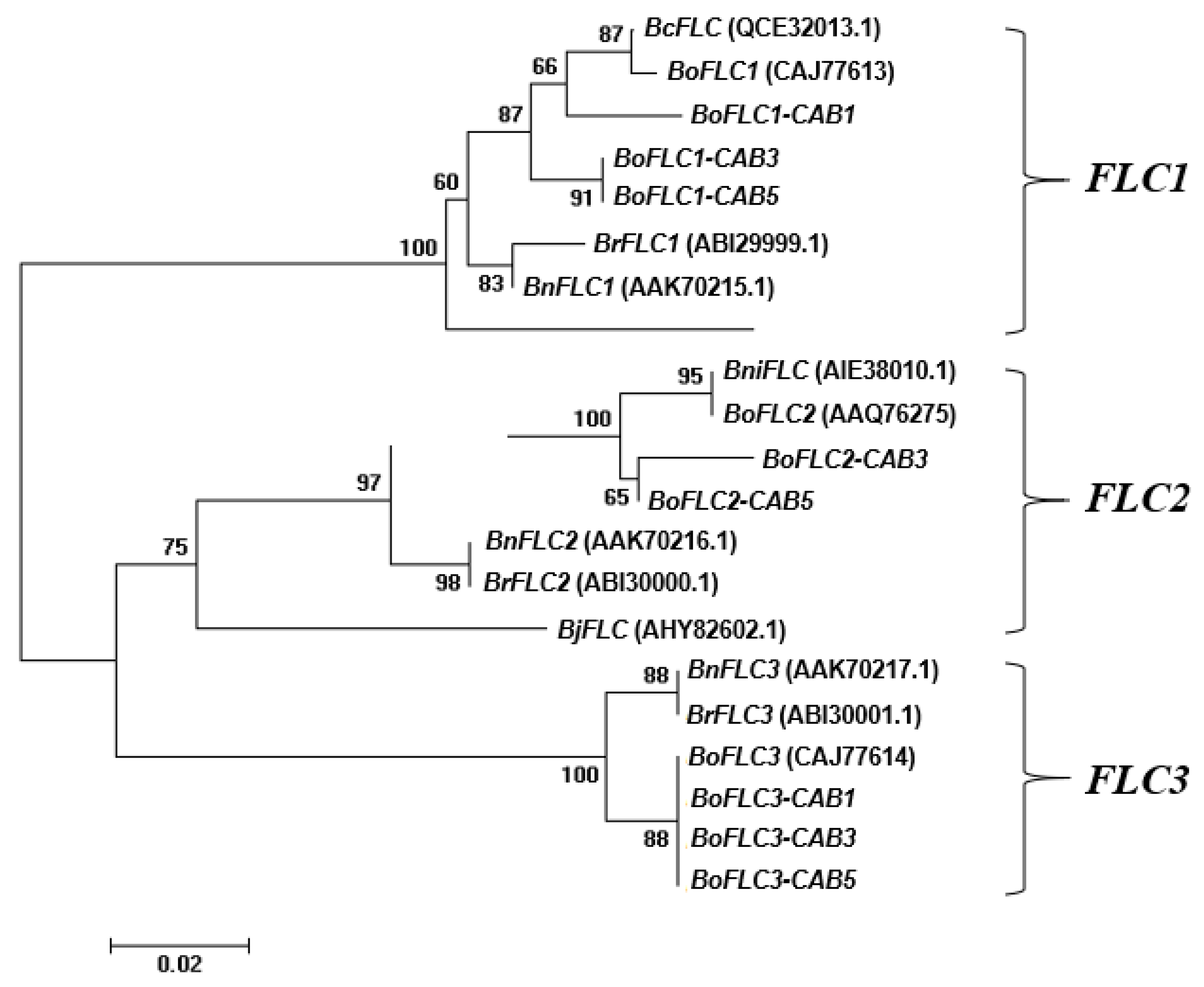 Preprints 87615 g002