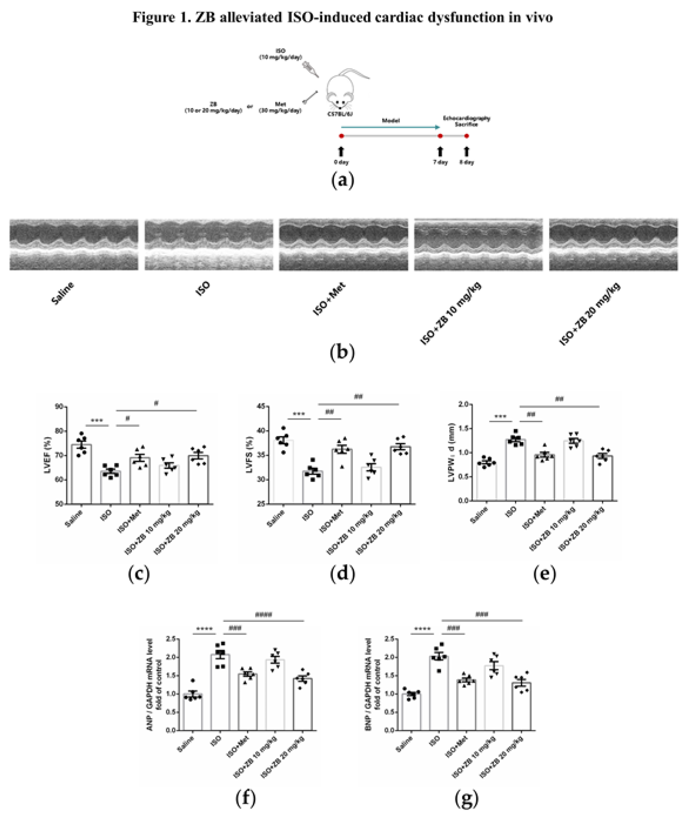 Preprints 76961 g001