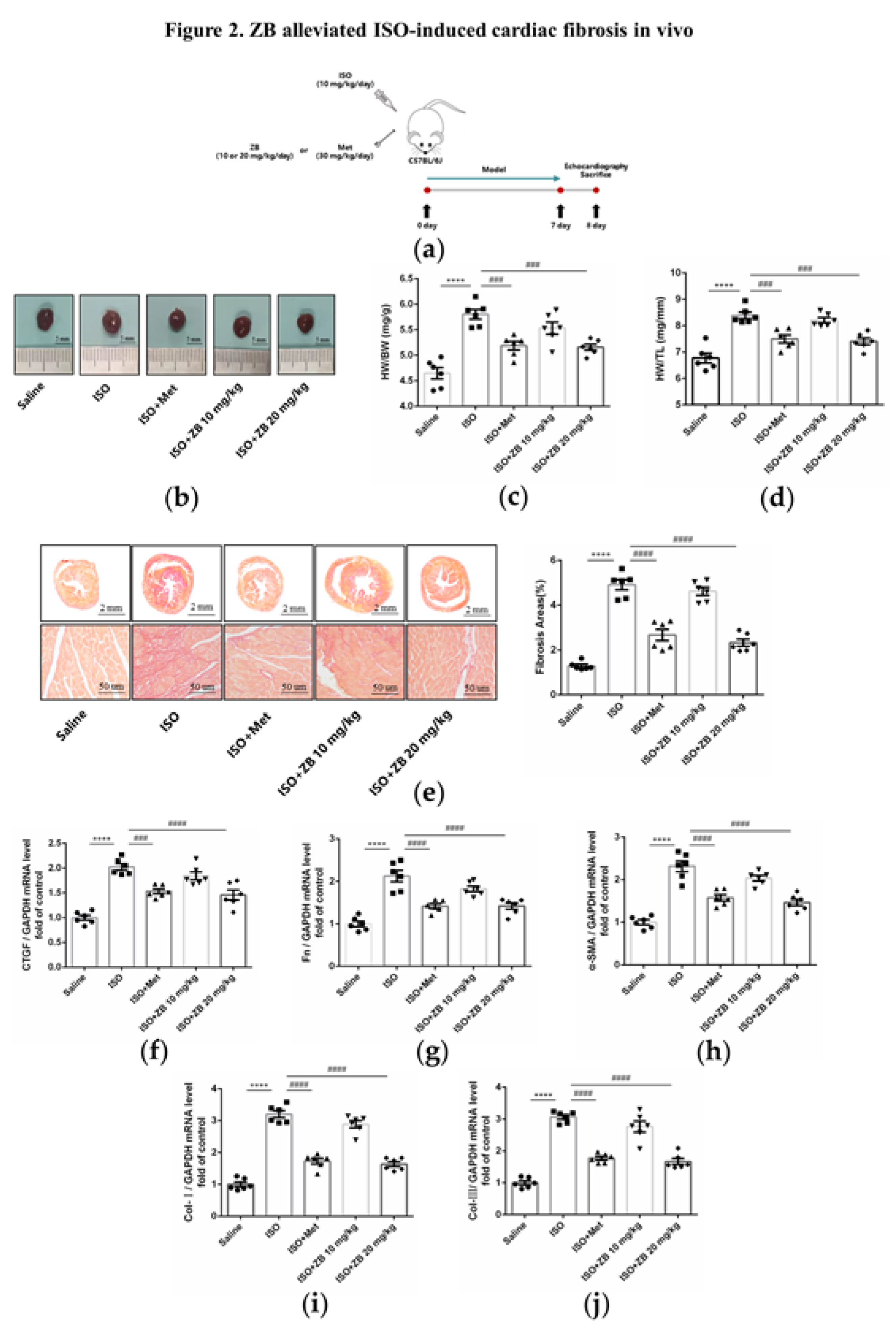 Preprints 76961 g002