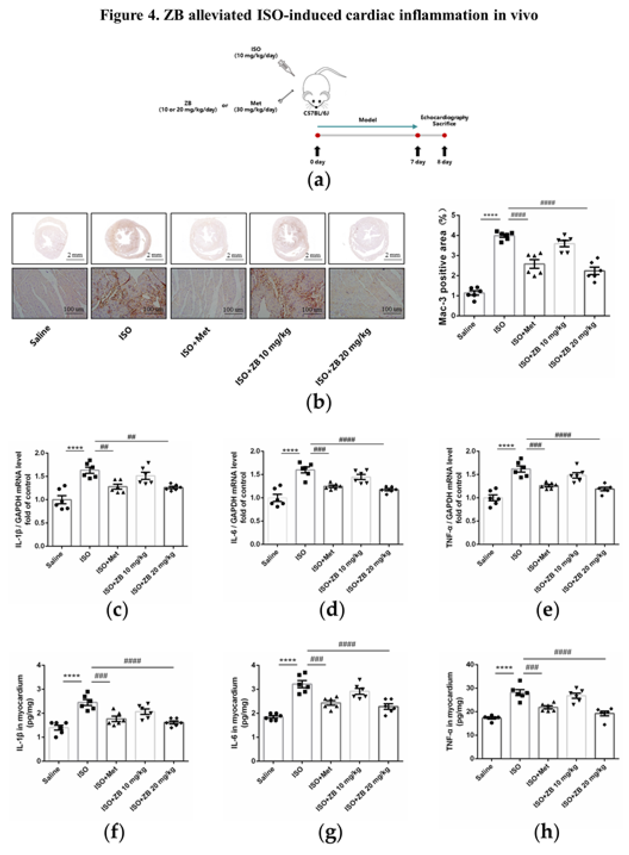 Preprints 76961 g004