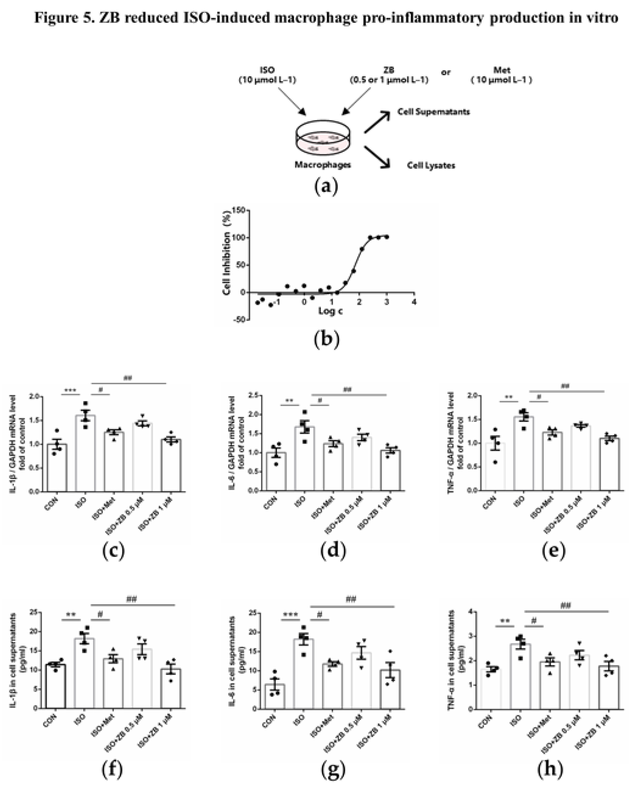 Preprints 76961 g005