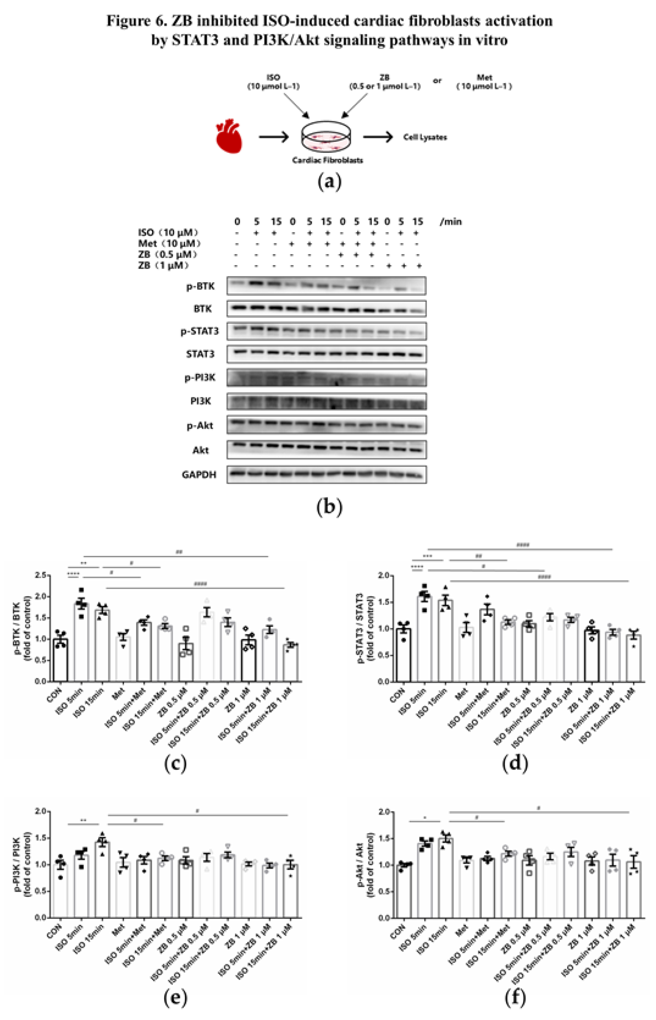 Preprints 76961 g006