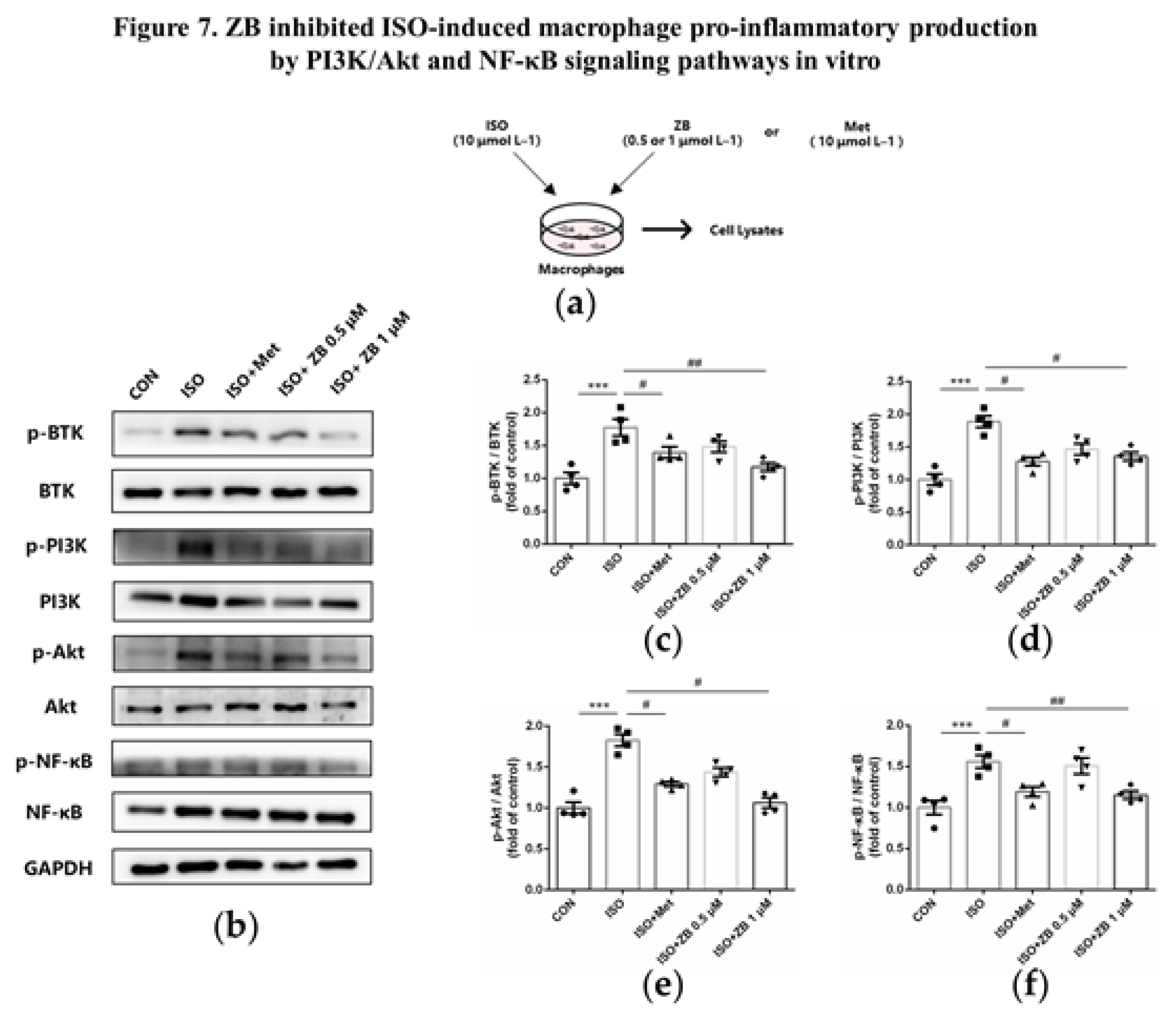 Preprints 76961 g007