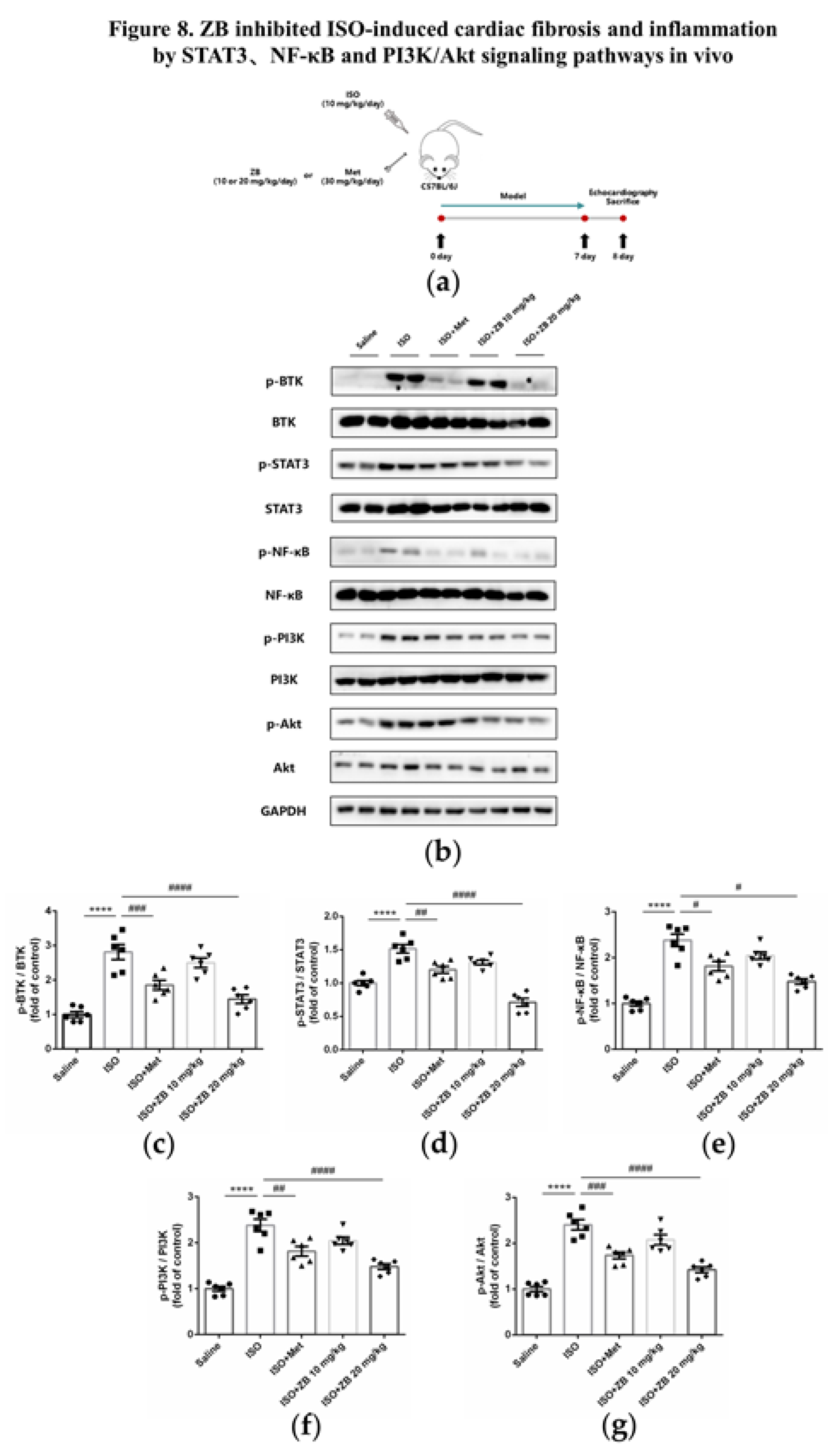 Preprints 76961 g008