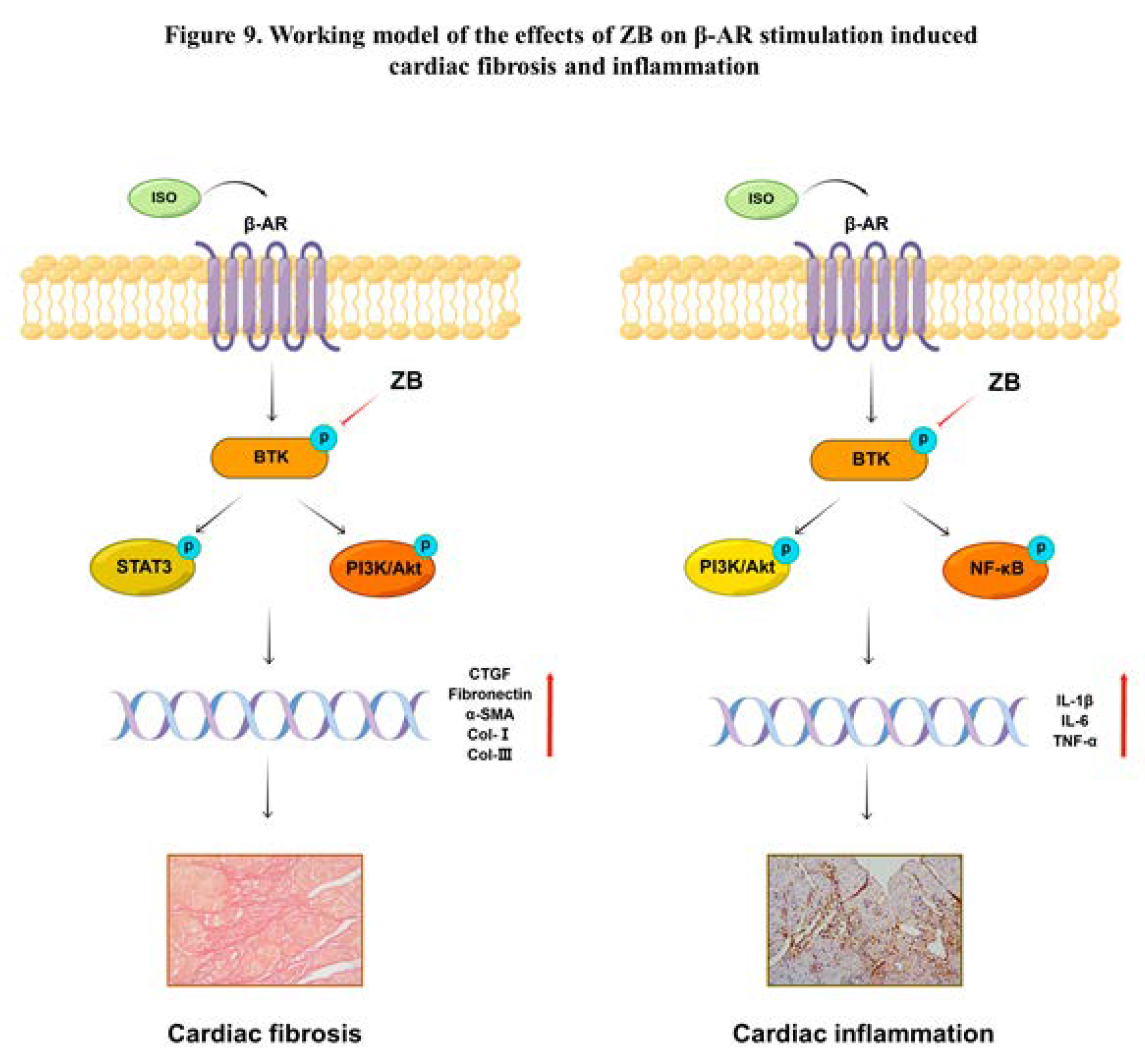 Preprints 76961 g009