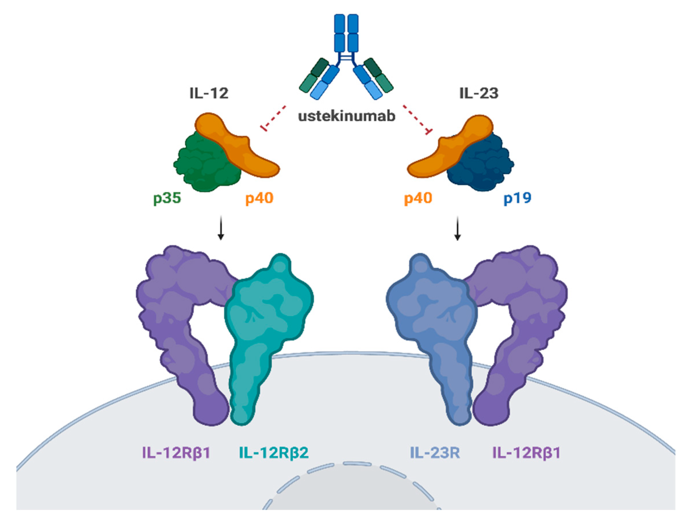 Preprints 119280 g001