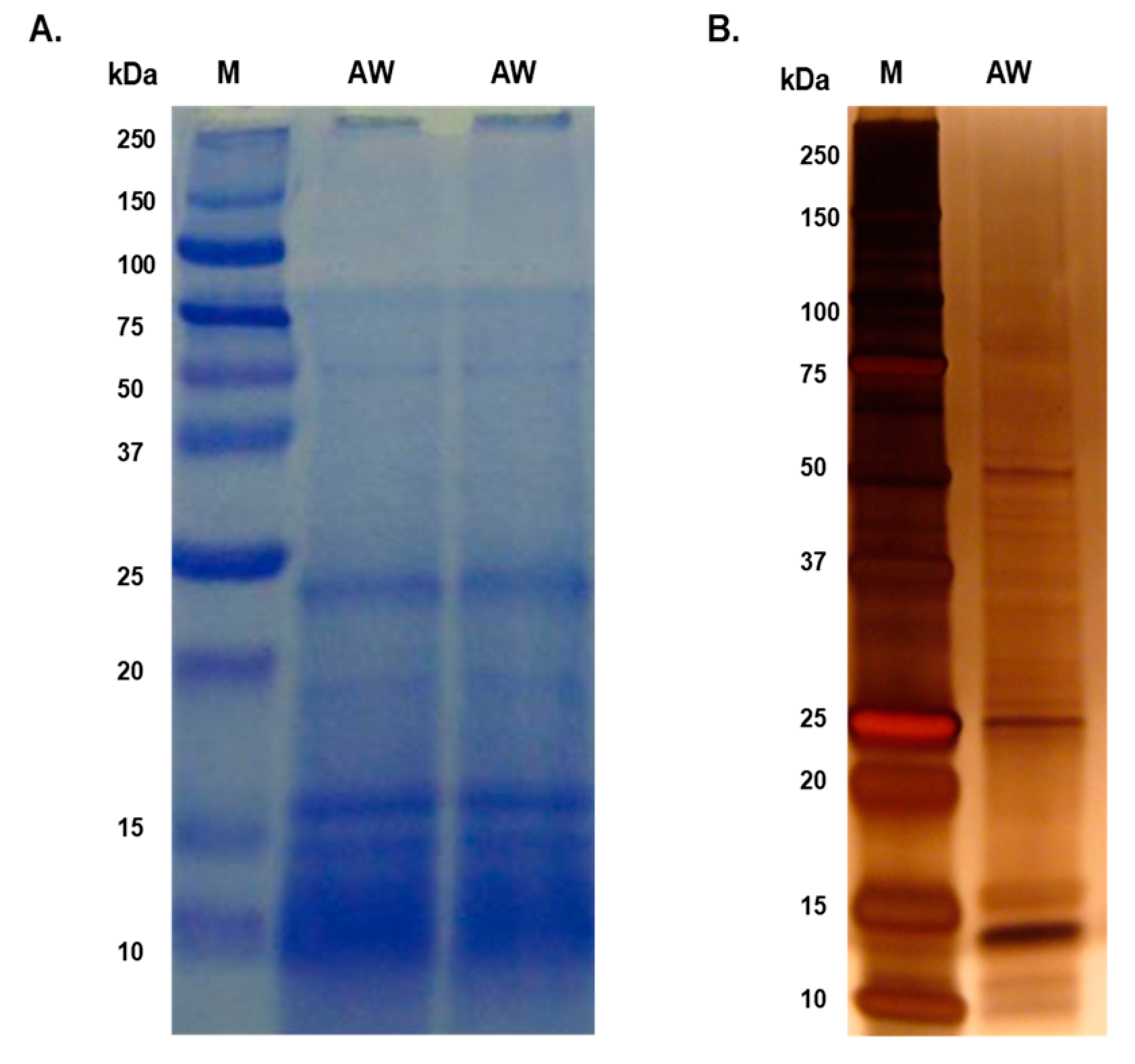 Preprints 89365 g001