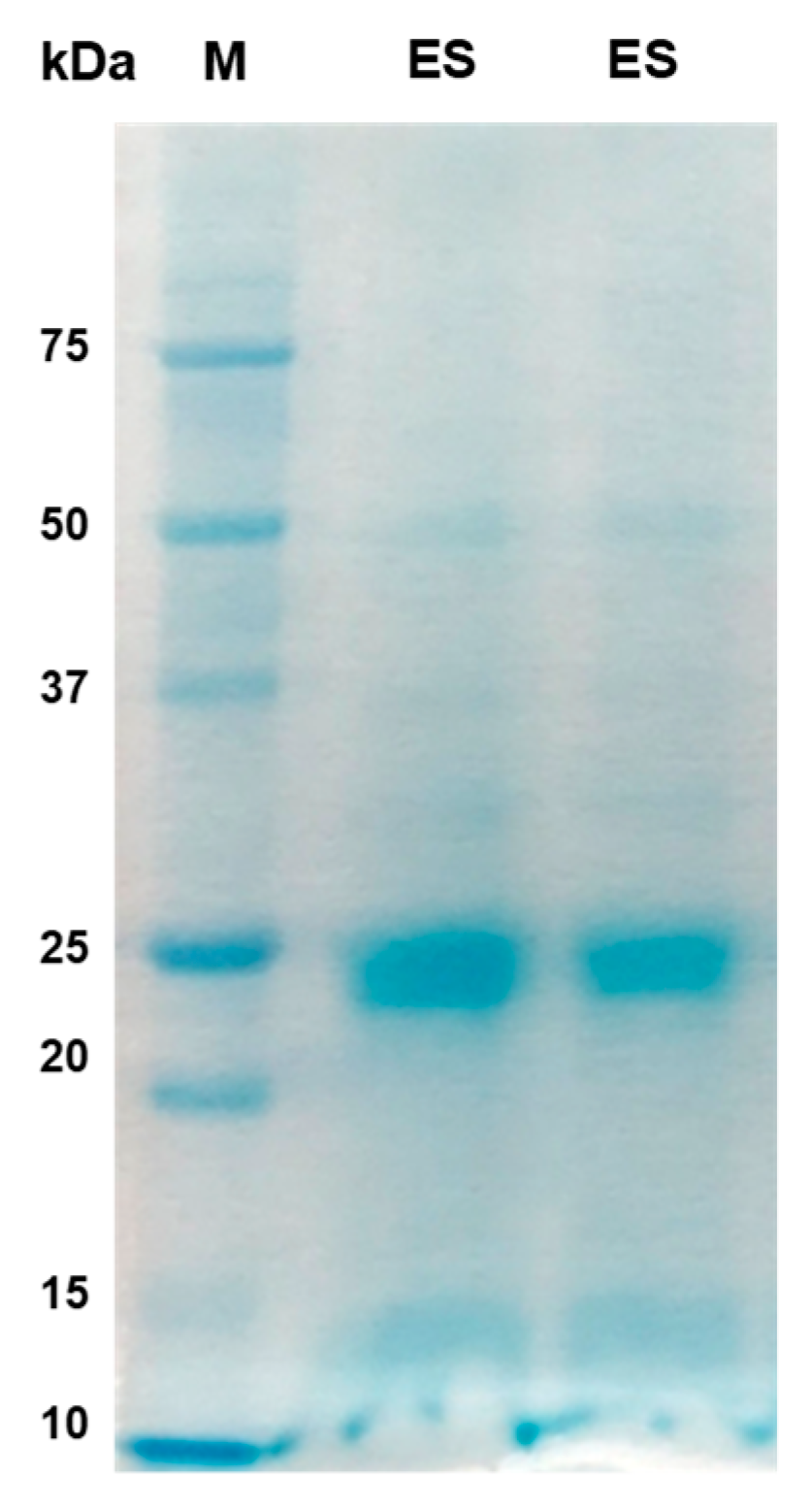 Preprints 89365 g002