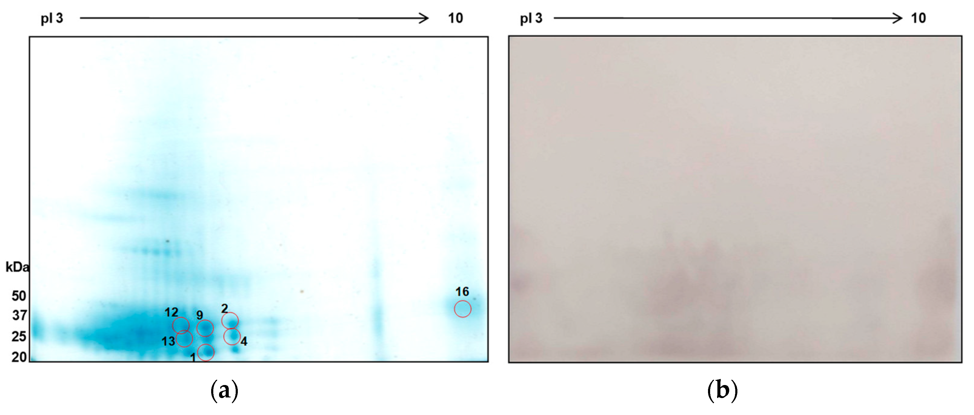 Preprints 89365 g007