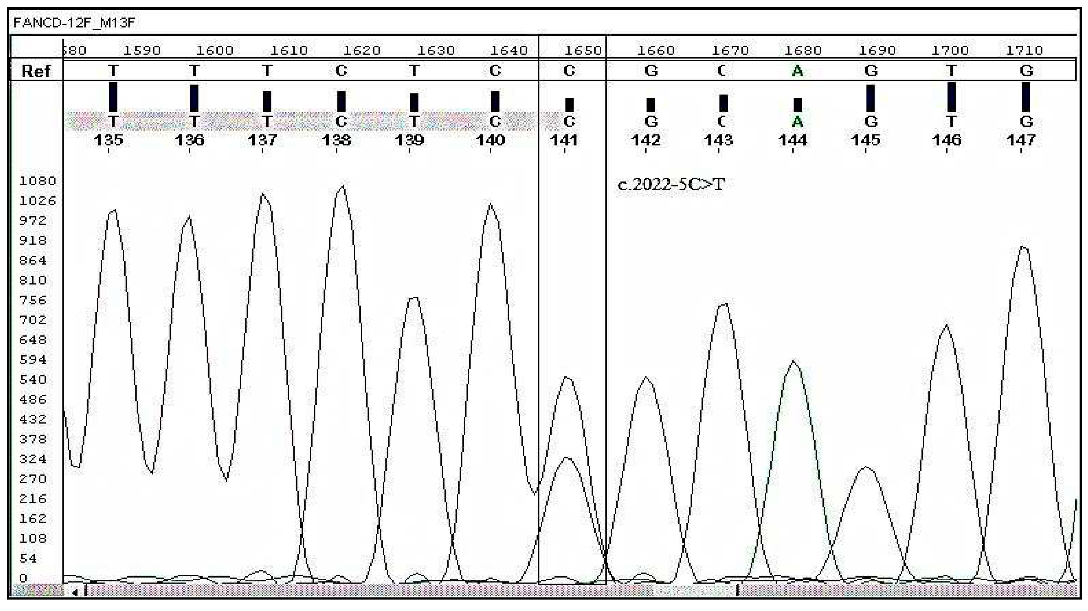 Preprints 93846 g001