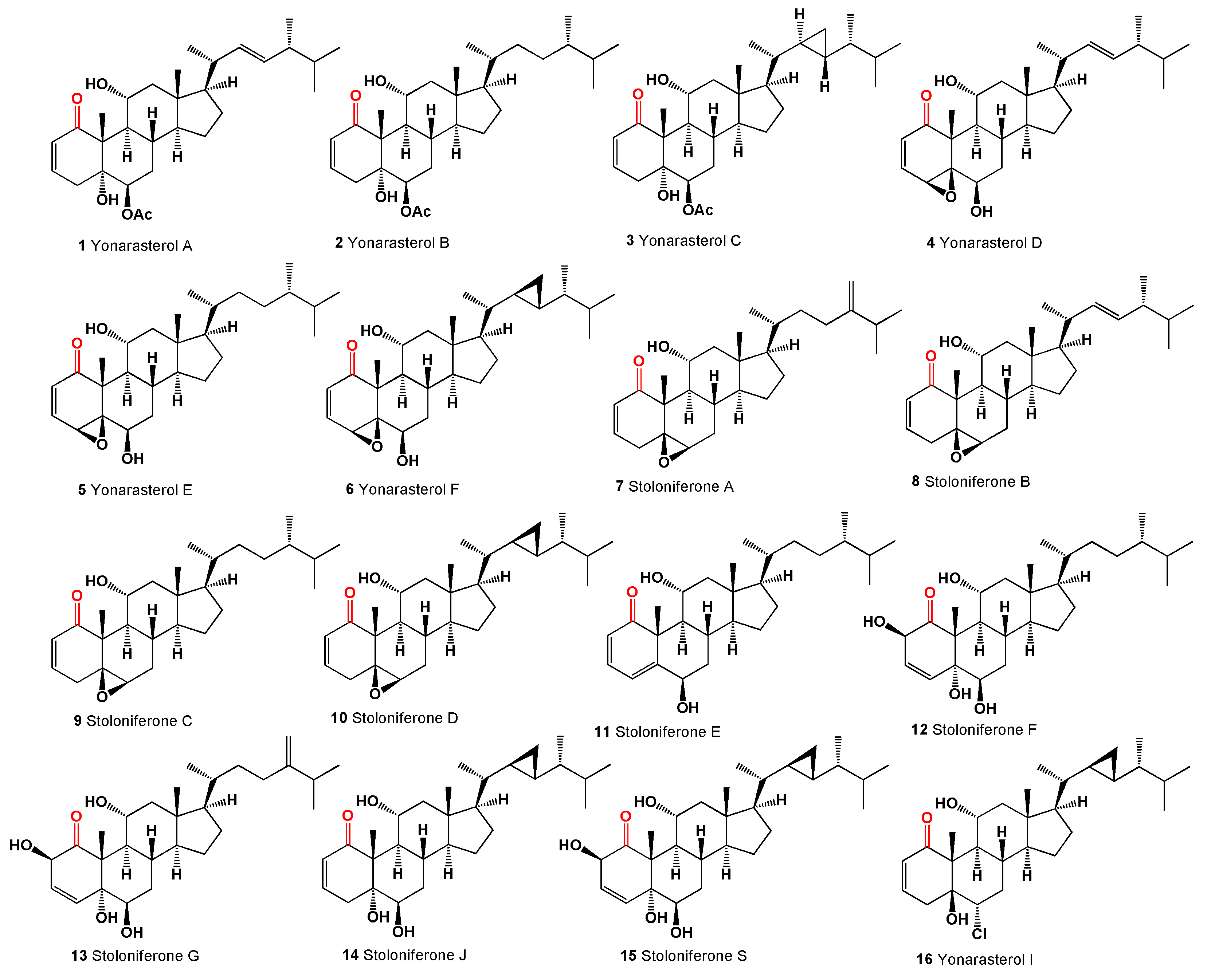 Preprints 113595 g002