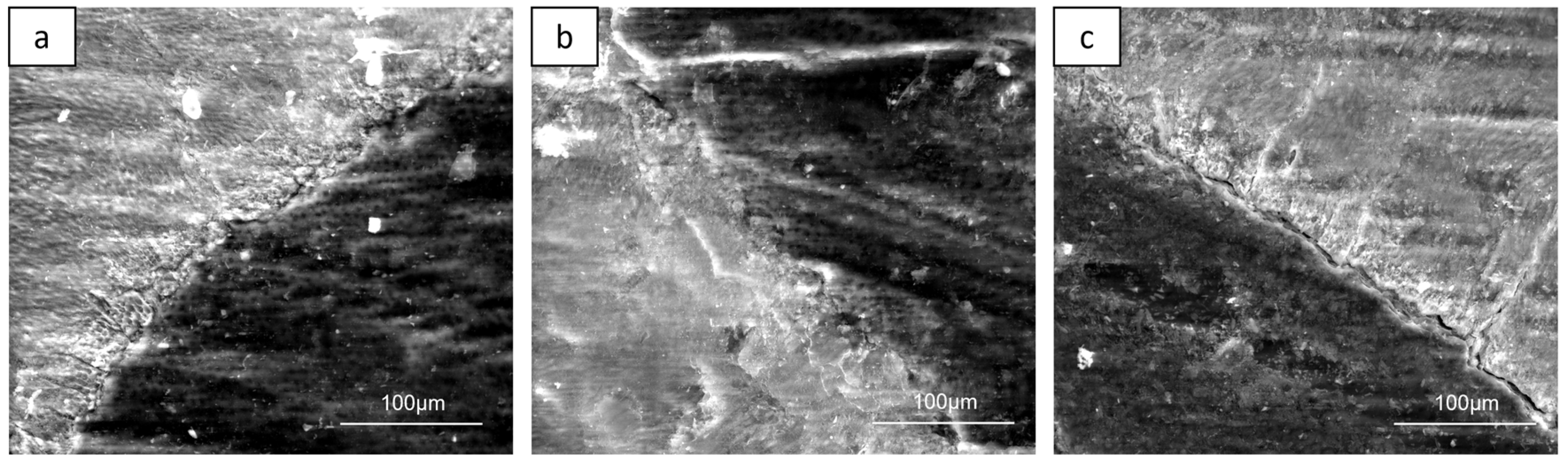 Preprints 77290 g003