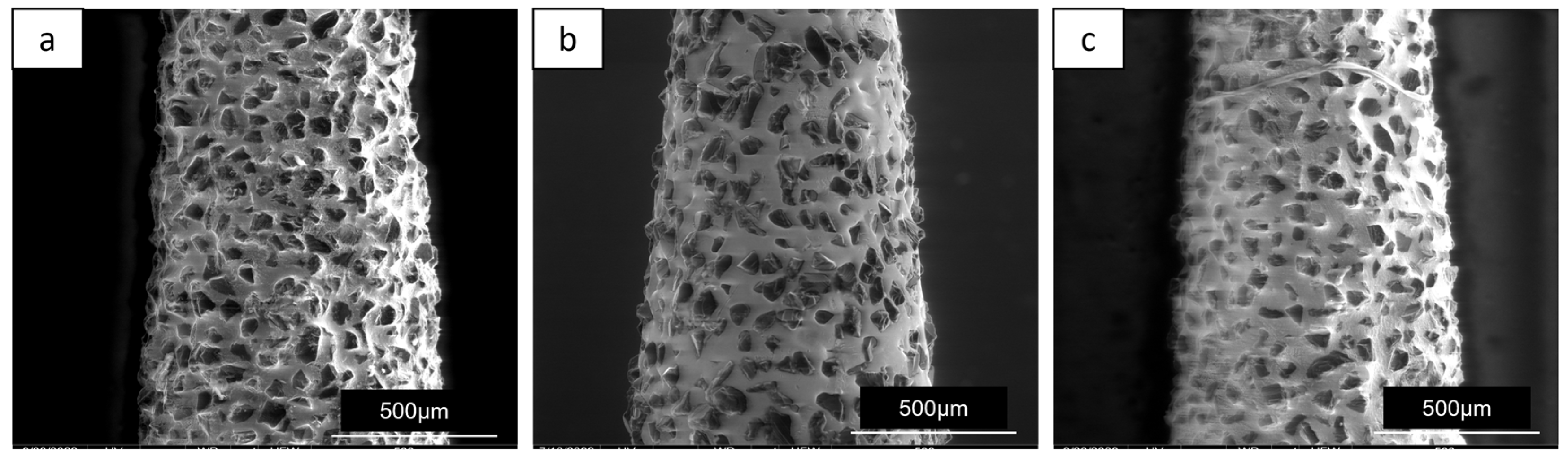 Preprints 77290 g004