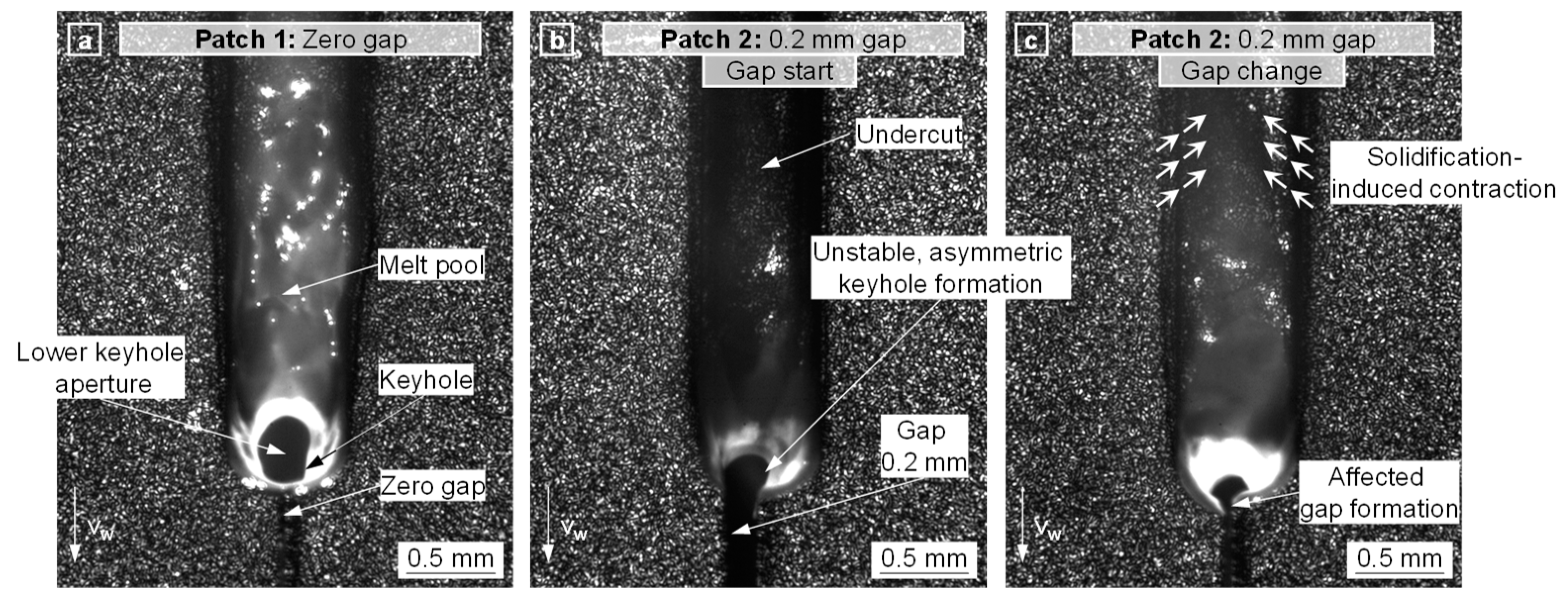 Preprints 77949 g003