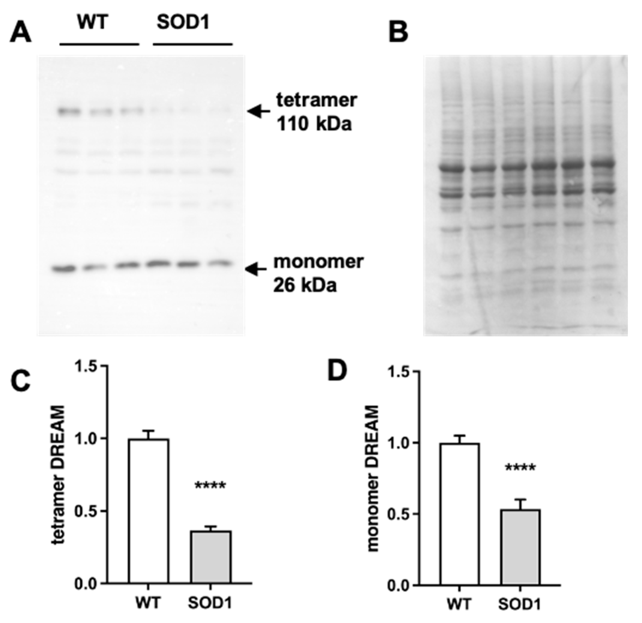 Preprints 86295 g001