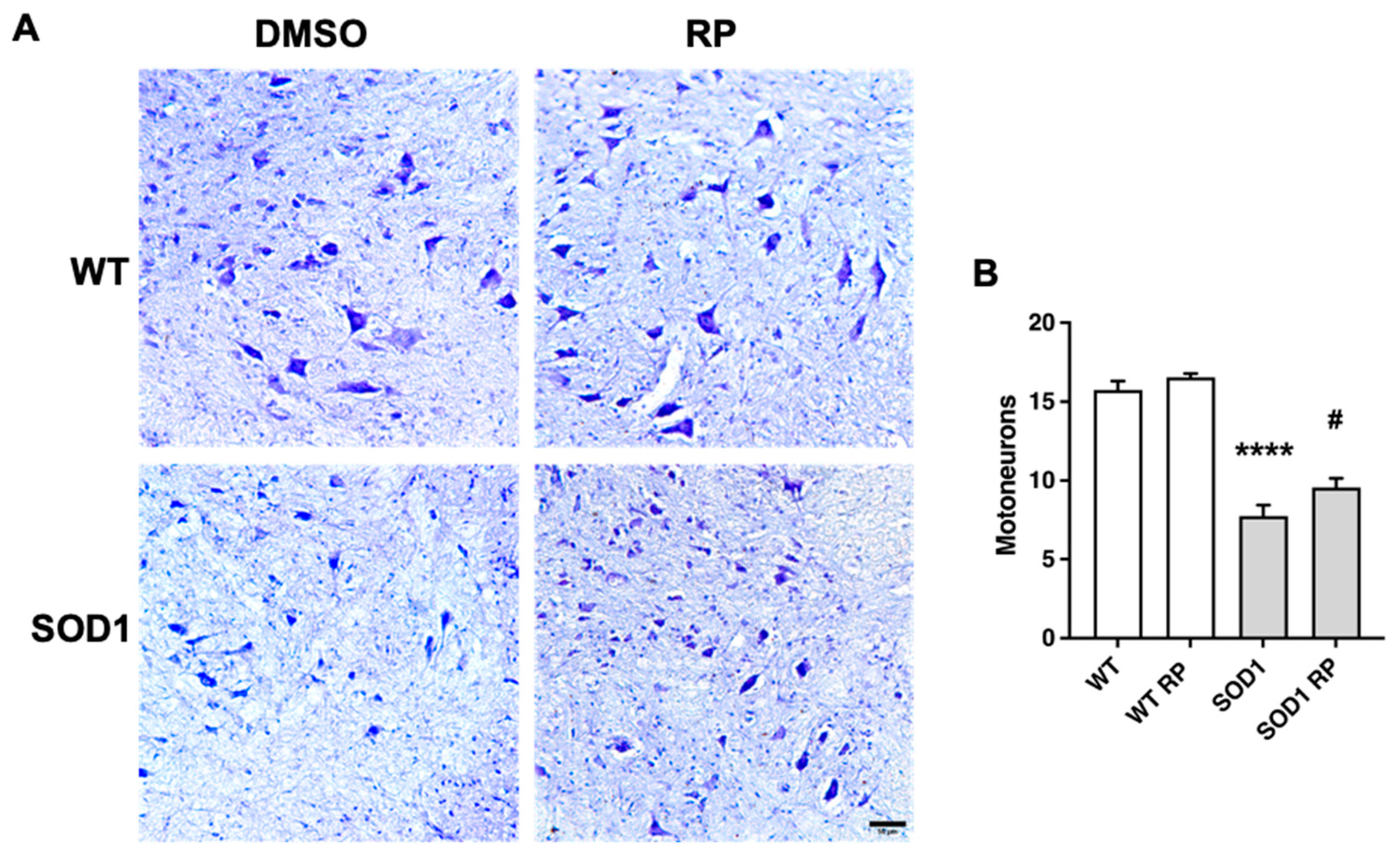 Preprints 86295 g003