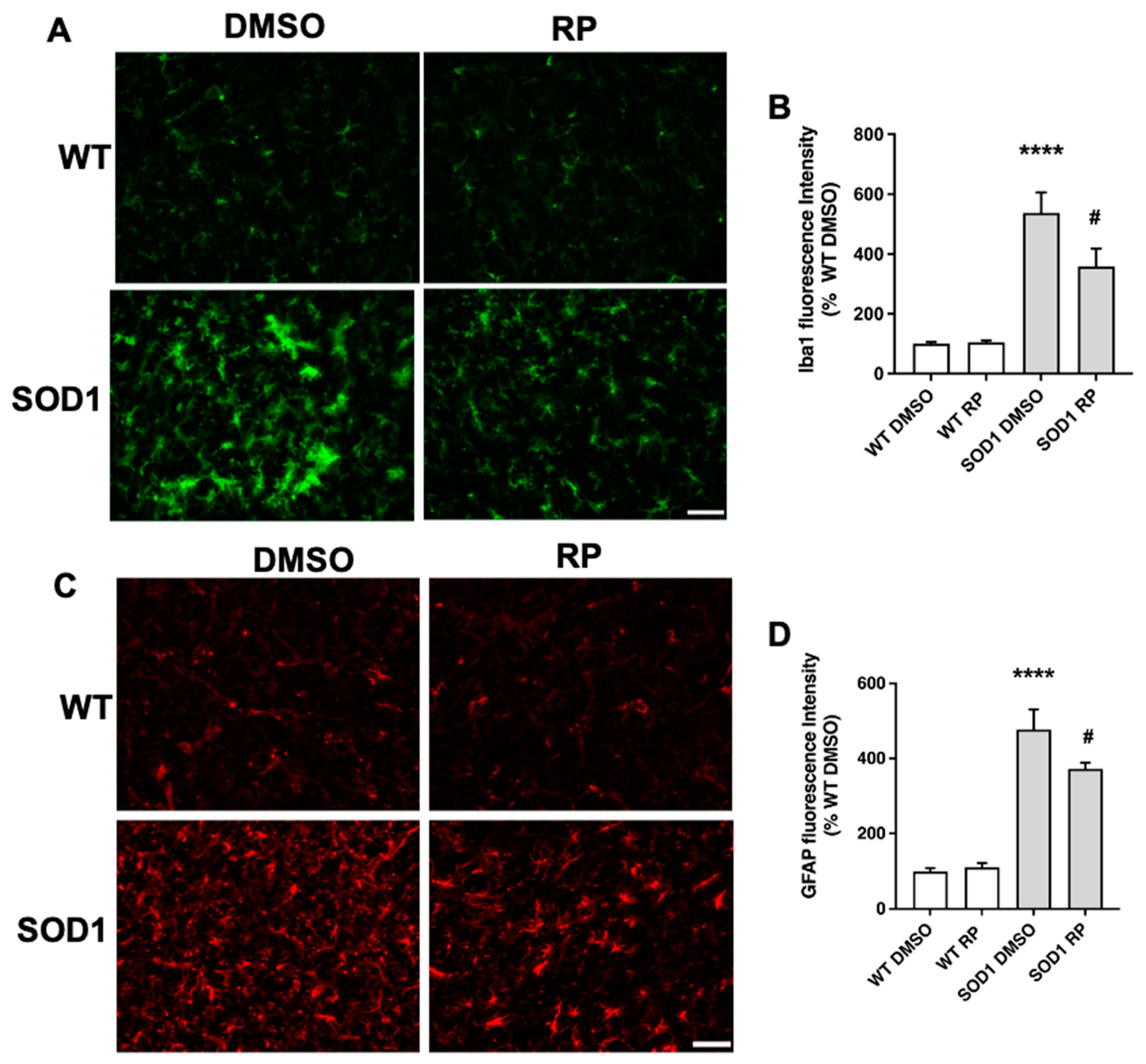 Preprints 86295 g004