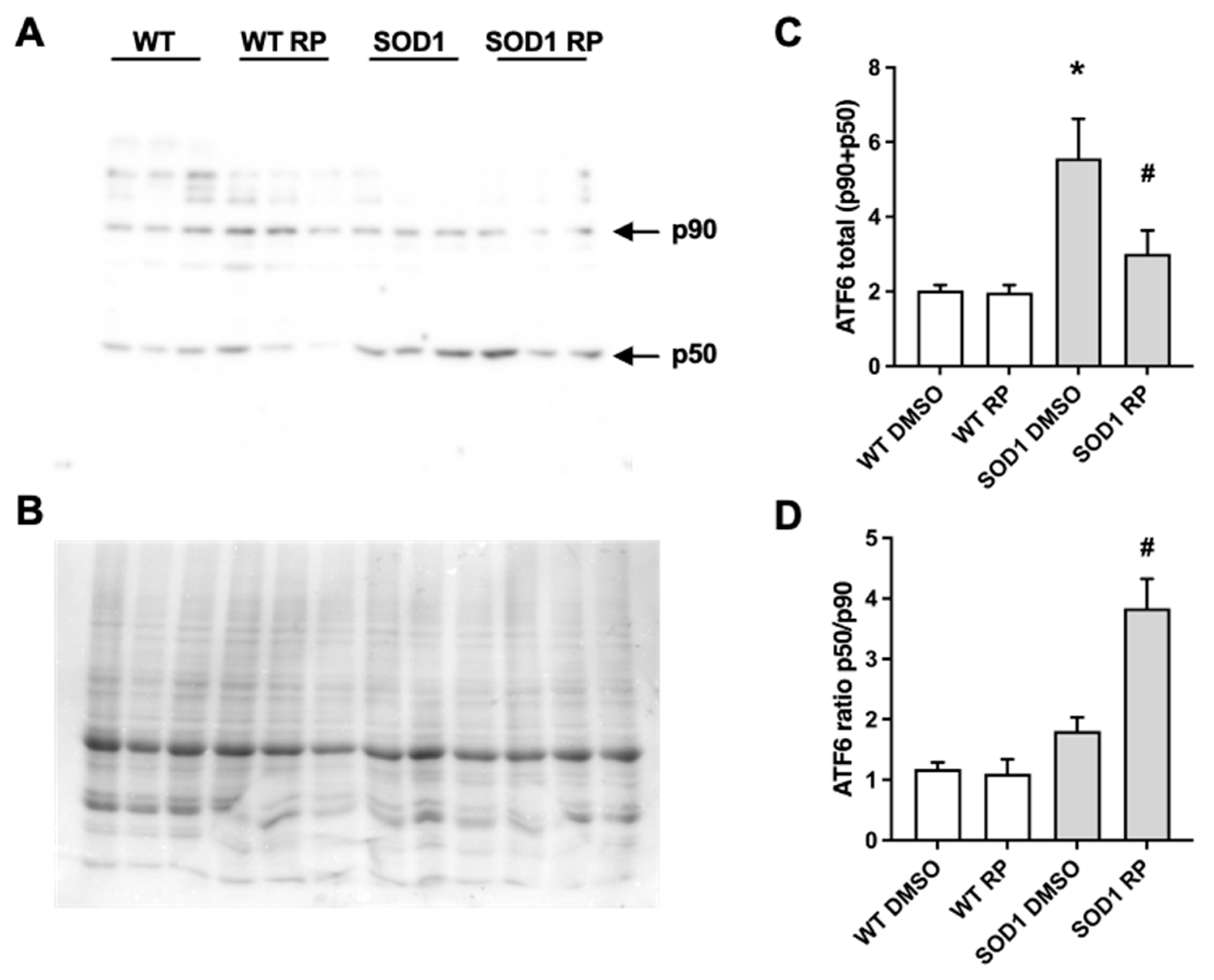 Preprints 86295 g005