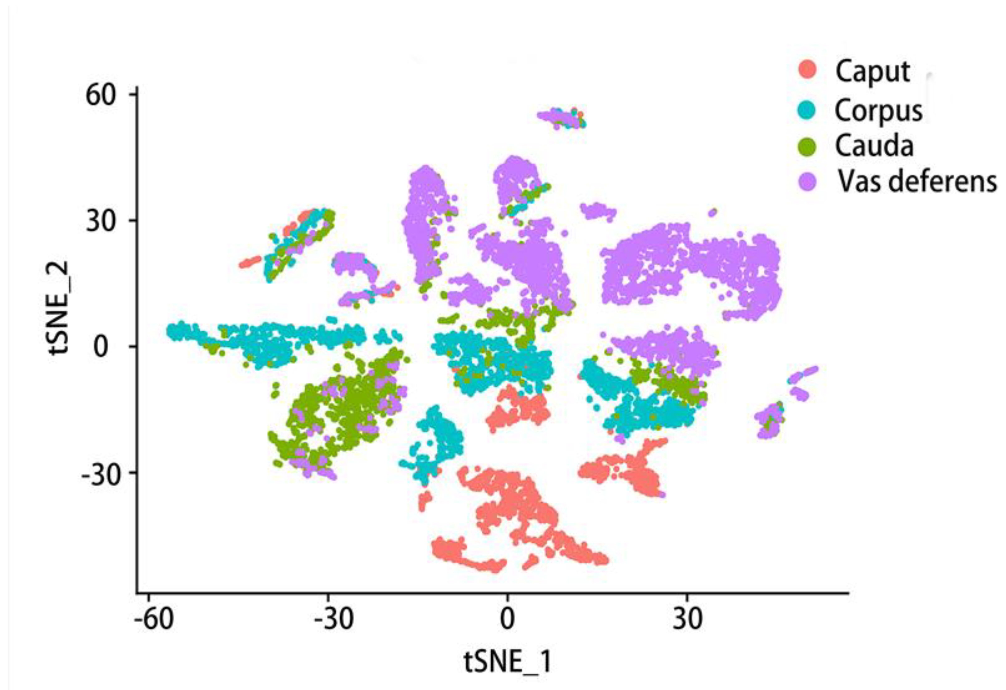 Preprints 72001 g004