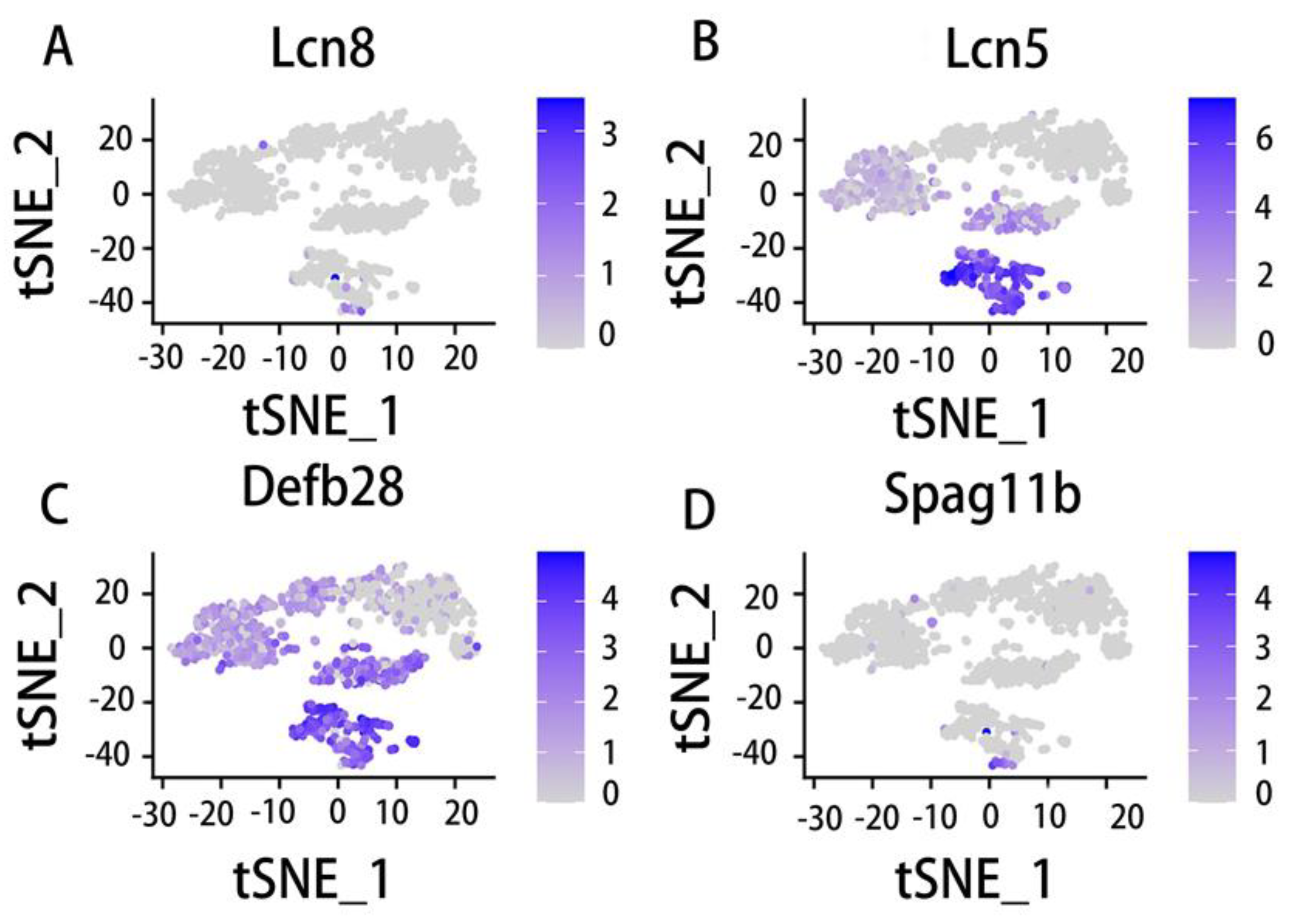 Preprints 72001 g007