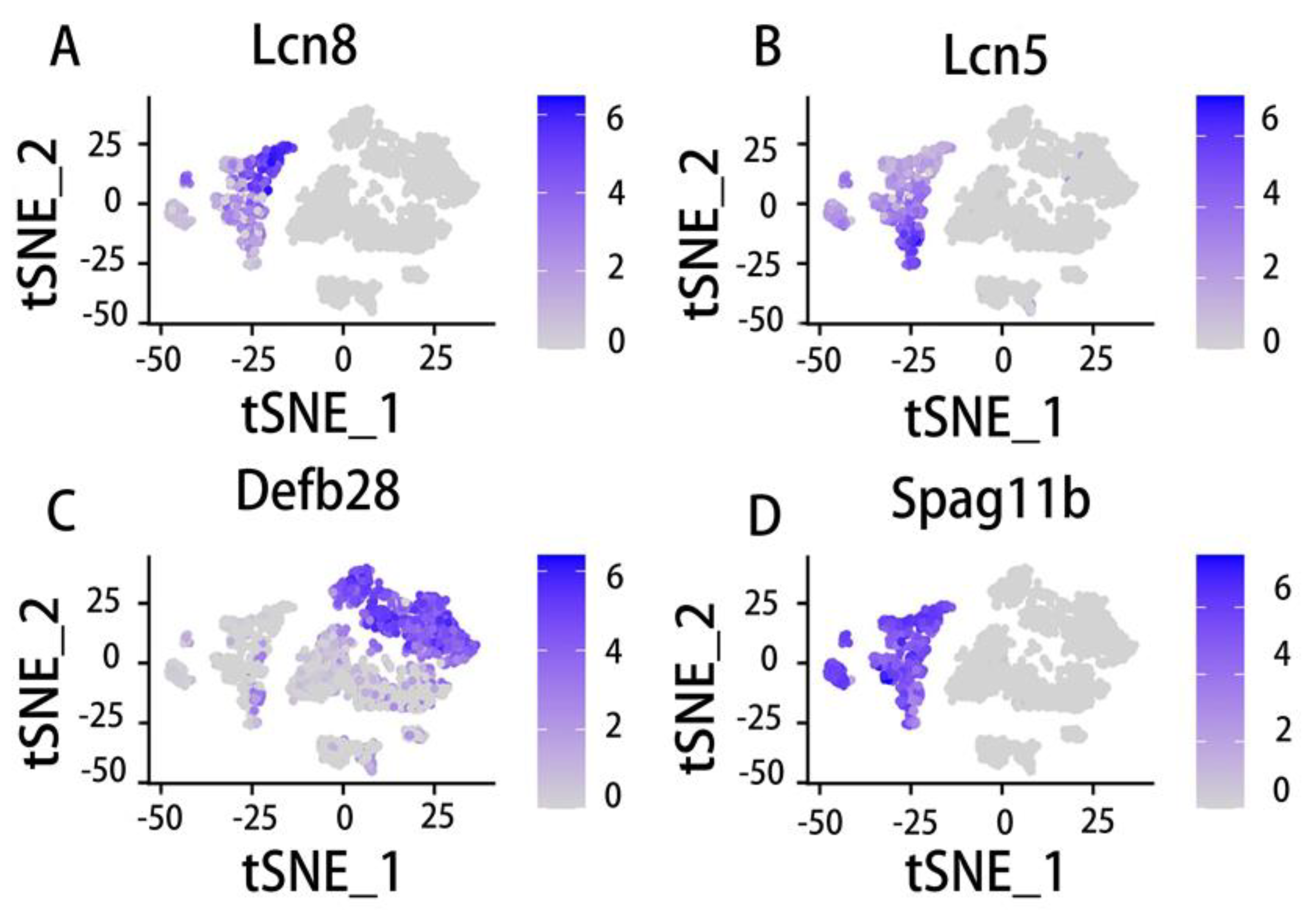 Preprints 72001 g008