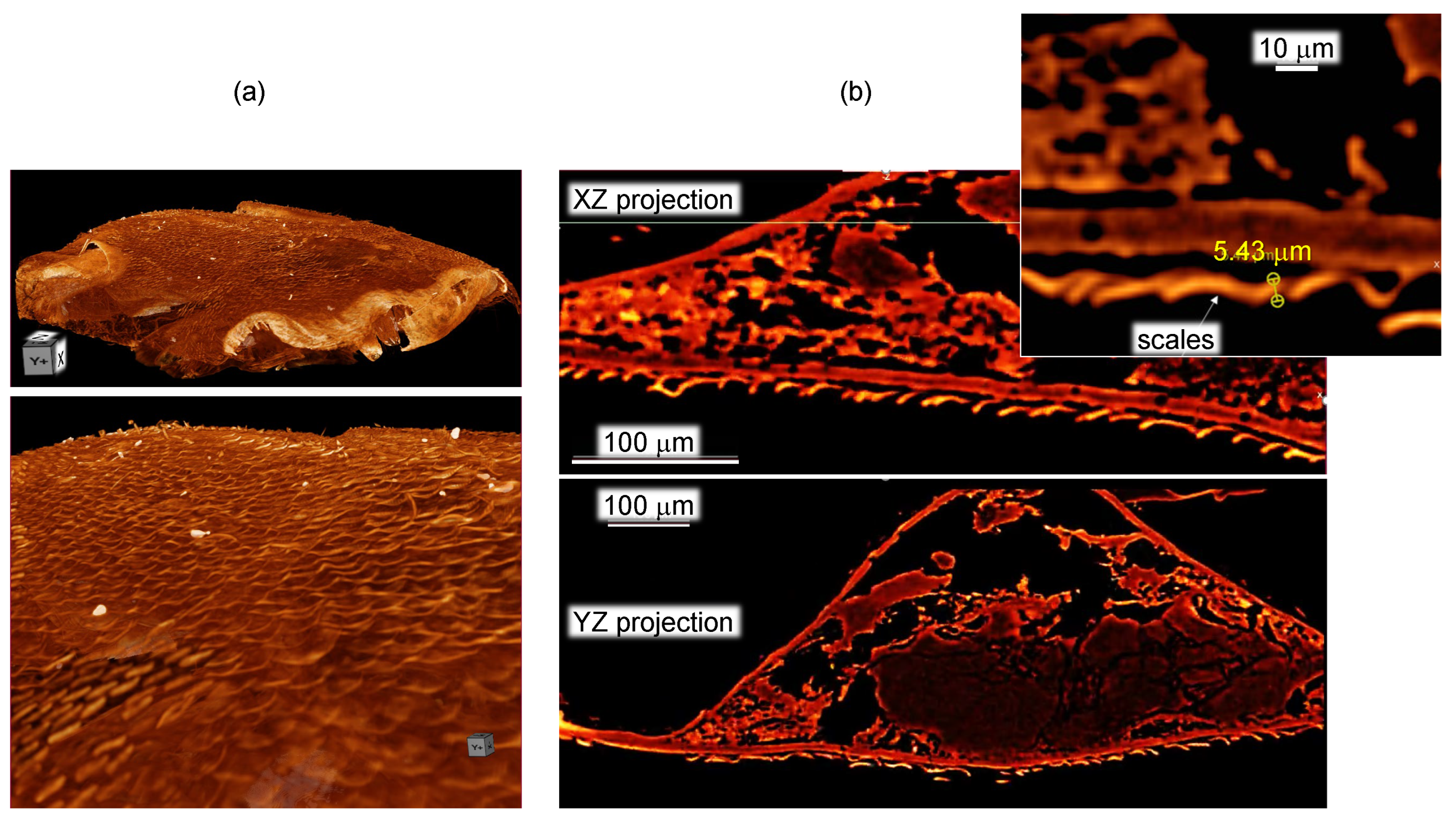 Preprints 72089 g004