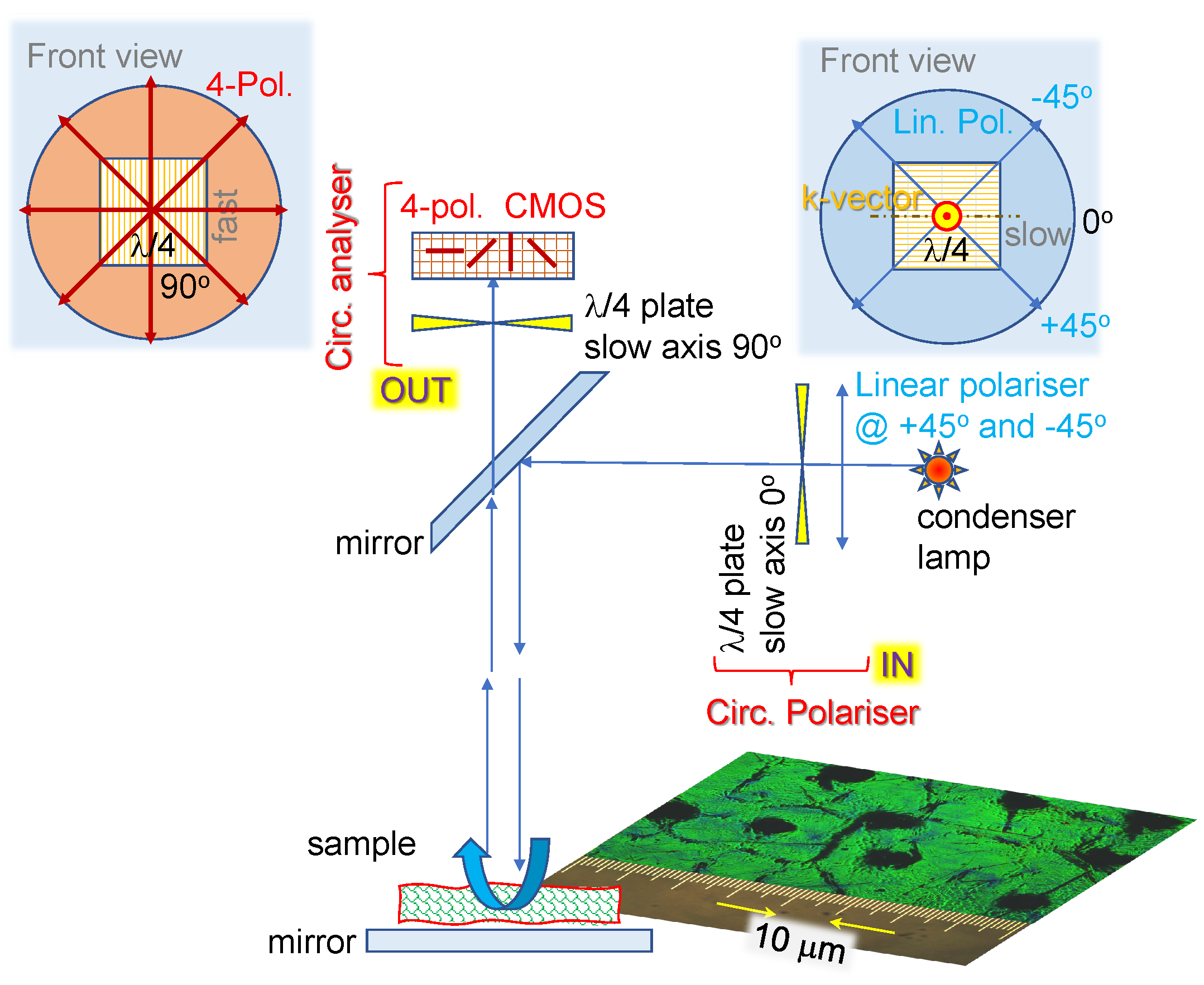 Preprints 72089 g010