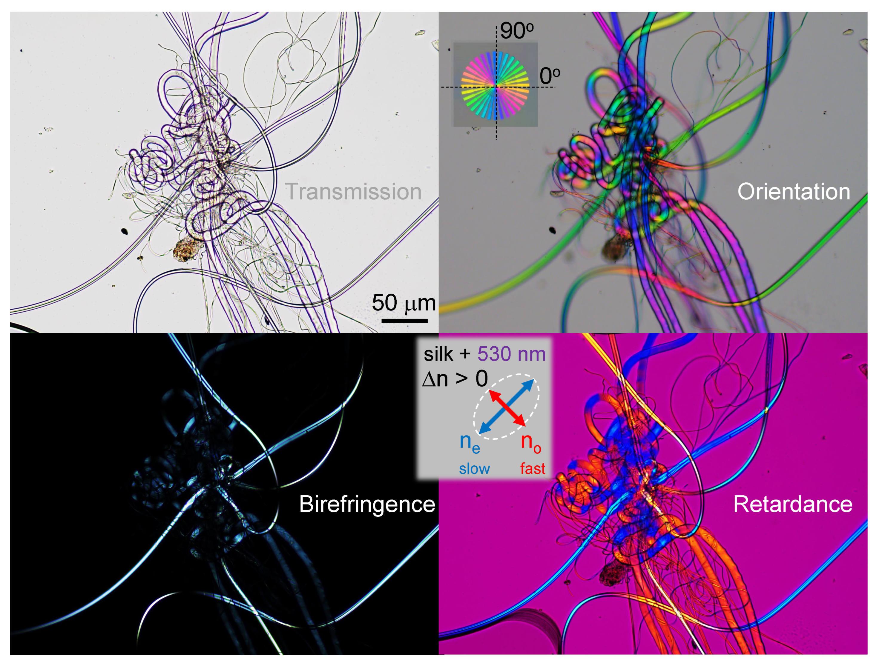 Preprints 72089 g0s1