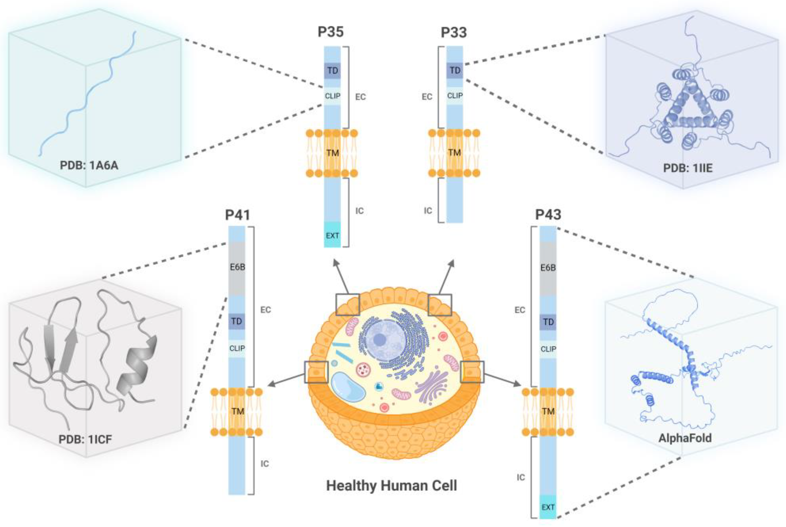 Preprints 86150 g001