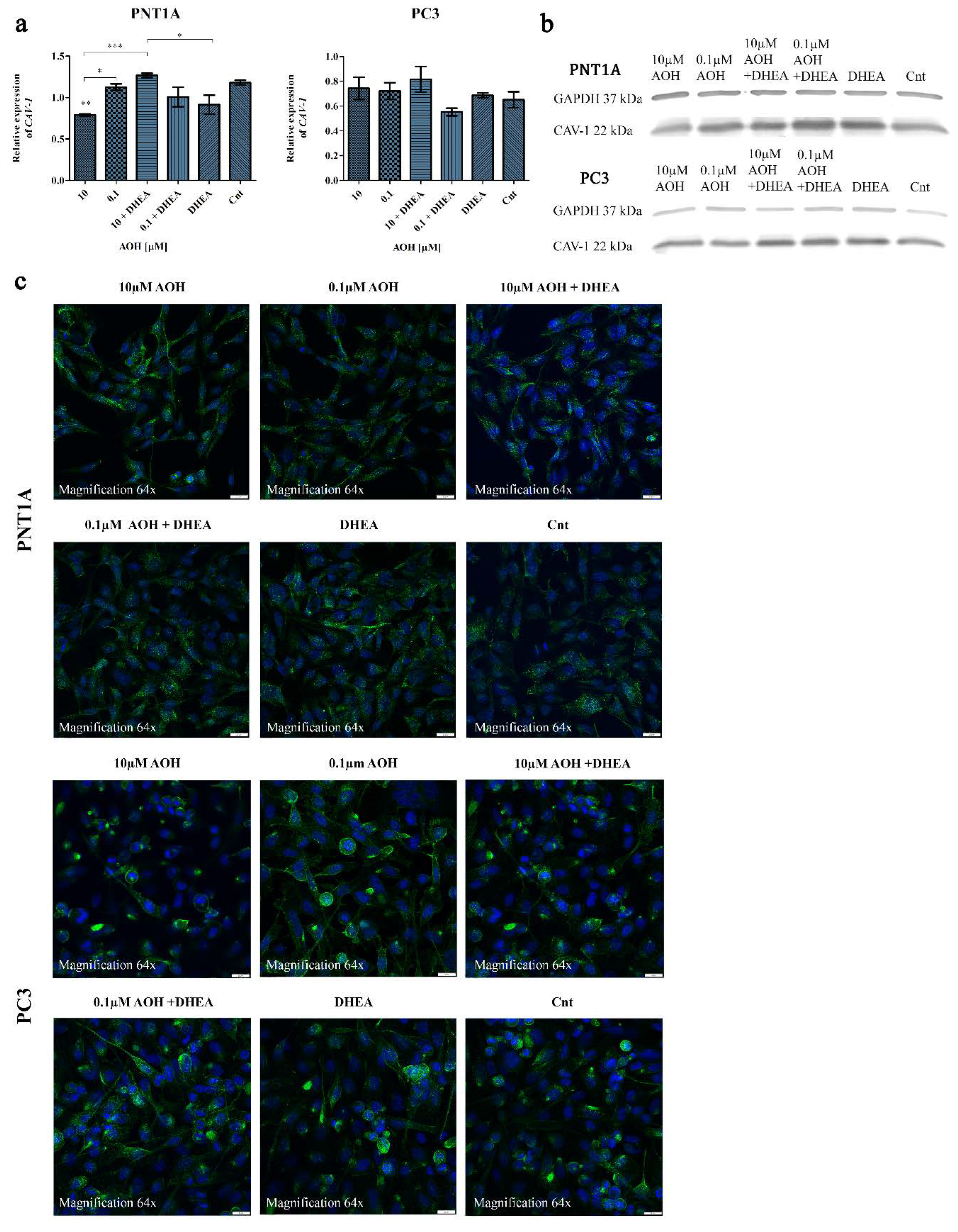 Preprints 72335 g004